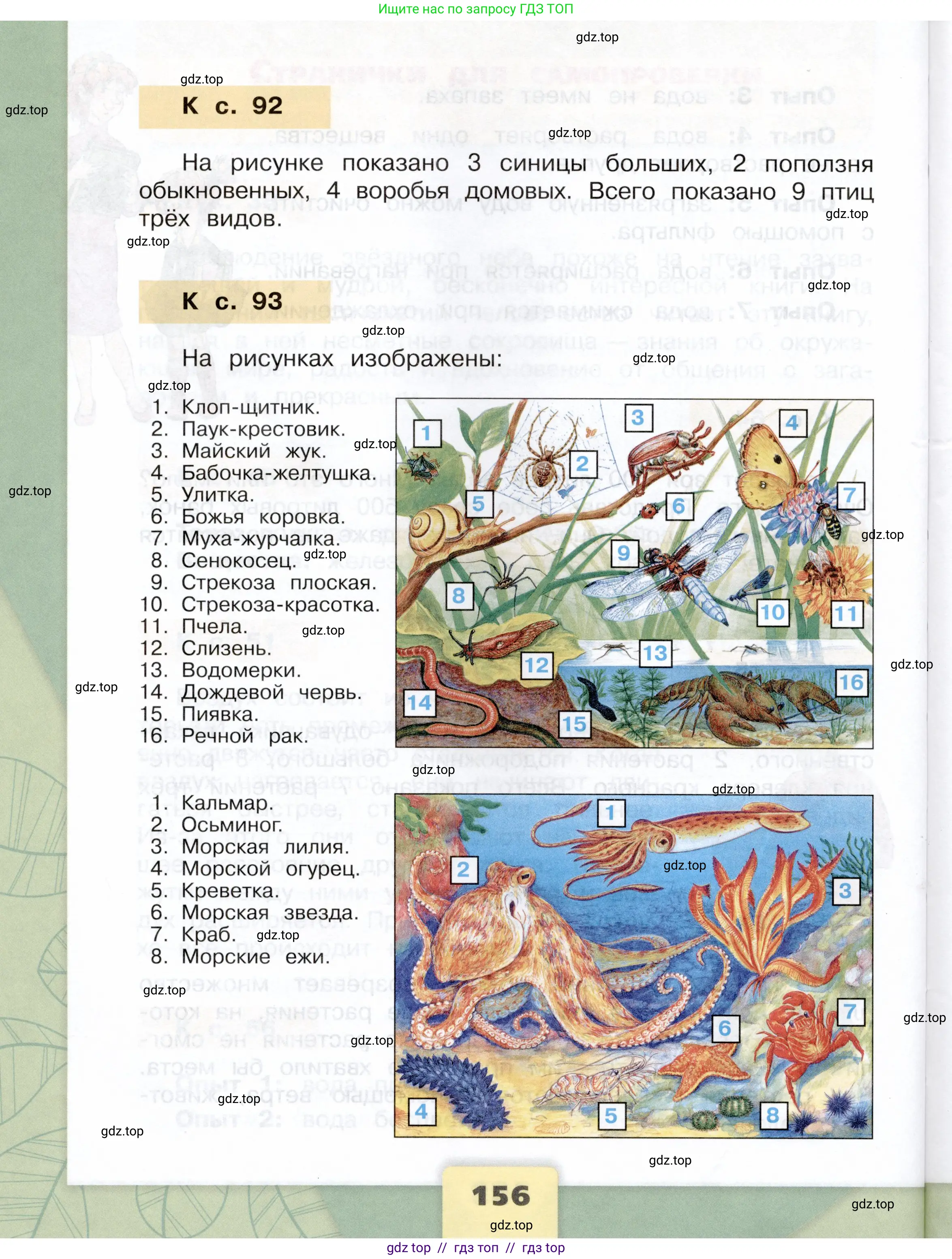 Окружающий мир, 3 класс Учебник, автор: Плешаков Андрей Анатольевич, издательство Просвещение, Москва, 2023, белого цвета, страница 156