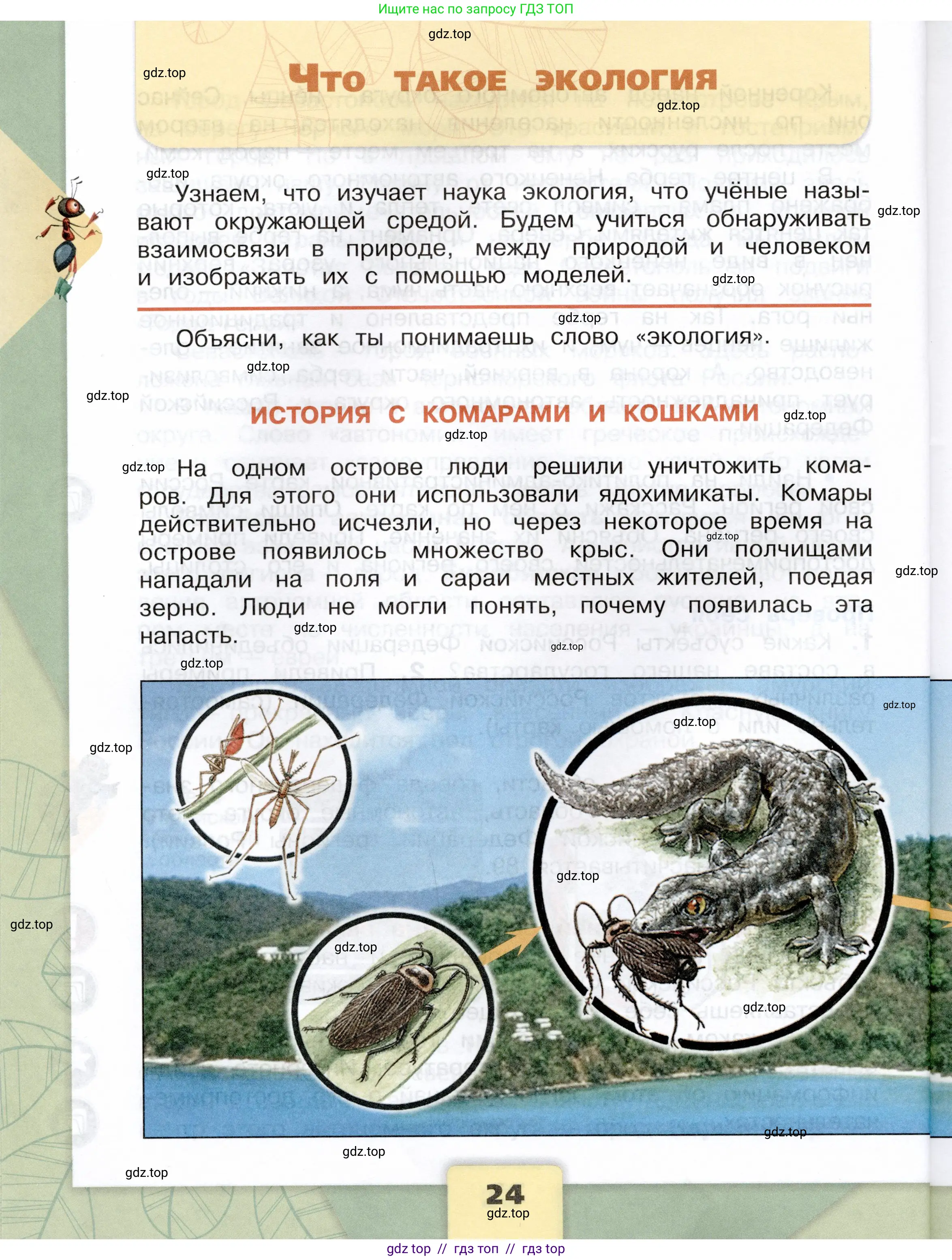 Окружающий мир, 3 класс Учебник, автор: Плешаков Андрей Анатольевич, издательство Просвещение, Москва, 2023, белого цвета, Часть 1, страница 24