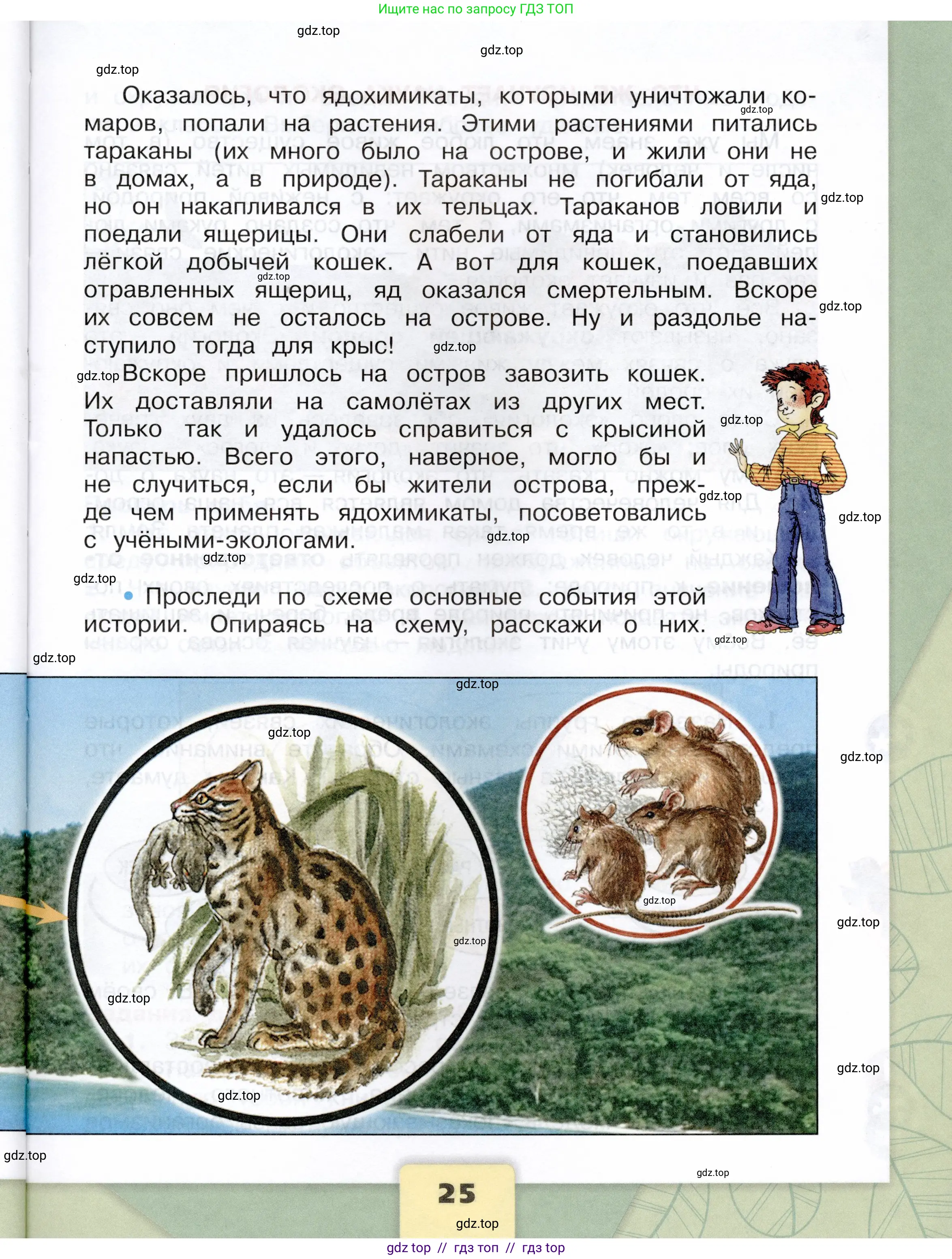 Окружающий мир, 3 класс Учебник, автор: Плешаков Андрей Анатольевич, издательство Просвещение, Москва, 2023, белого цвета, страница 25