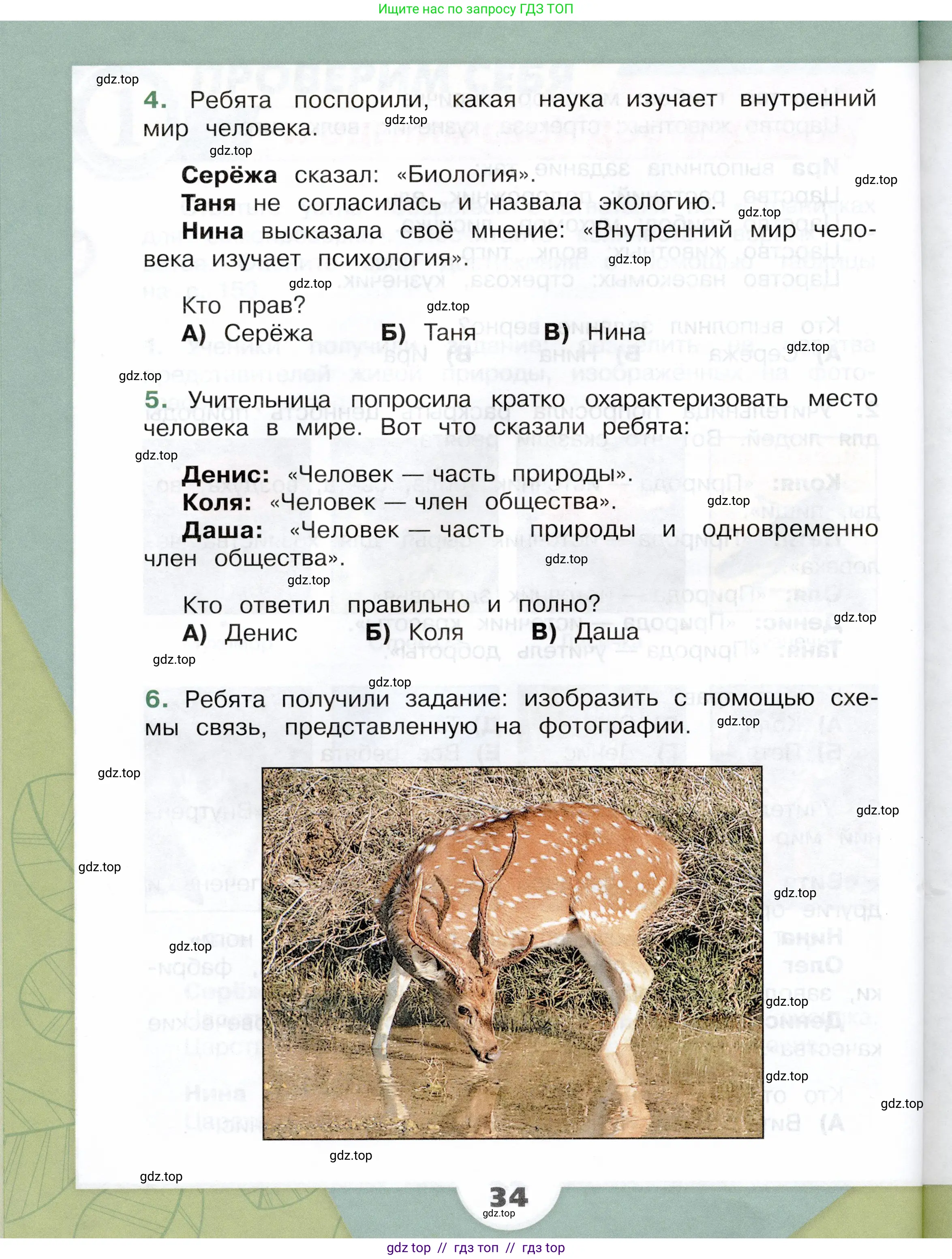 Окружающий мир, 3 класс Учебник, автор: Плешаков Андрей Анатольевич, издательство Просвещение, Москва, 2023, белого цвета, страница 34