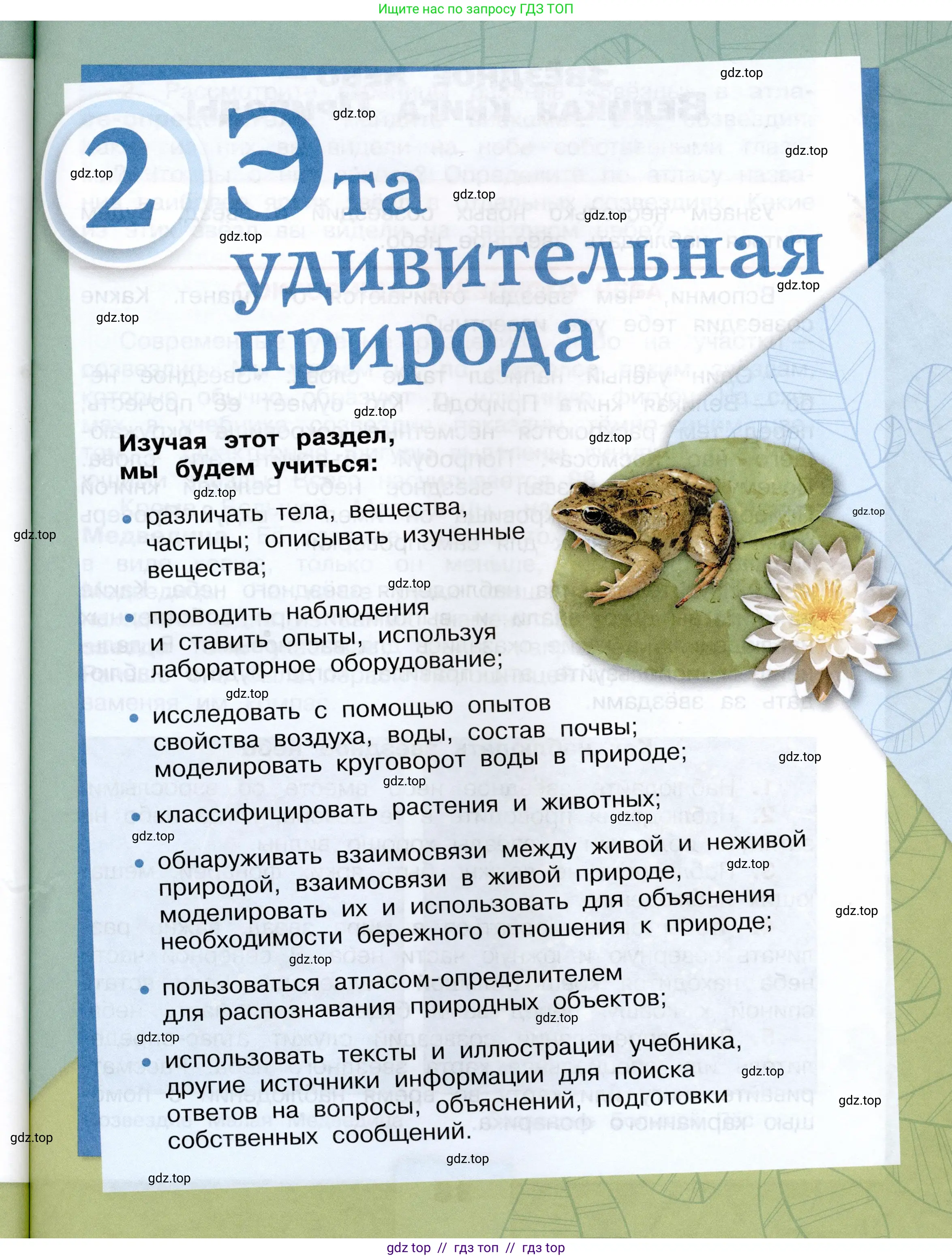 Окружающий мир, 3 класс Учебник, автор: Плешаков Андрей Анатольевич, издательство Просвещение, Москва, 2023, белого цвета, страница 37
