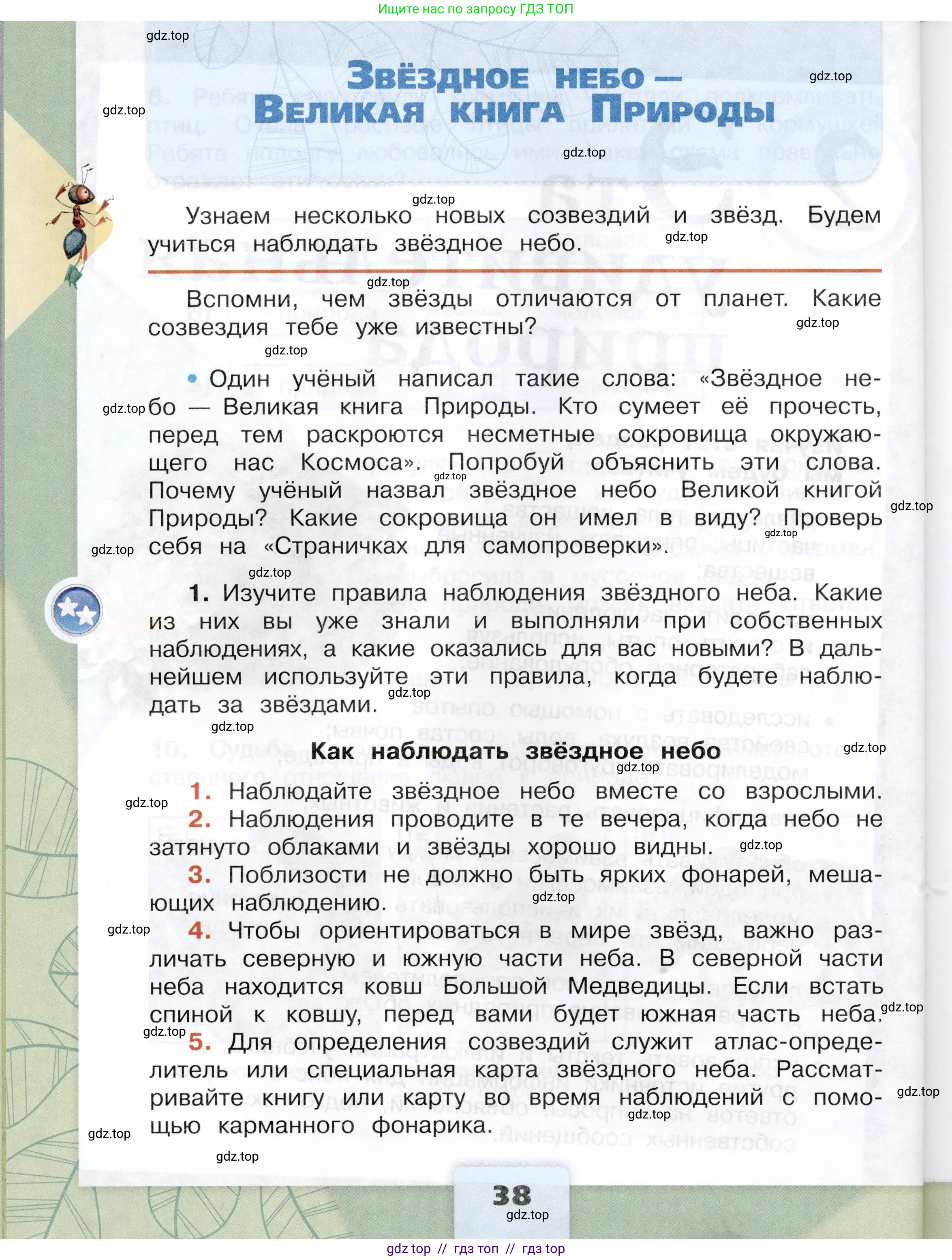 Окружающий мир, 3 класс Учебник, автор: Плешаков Андрей Анатольевич, издательство Просвещение, Москва, 2023, белого цвета, Часть 1, страница 38