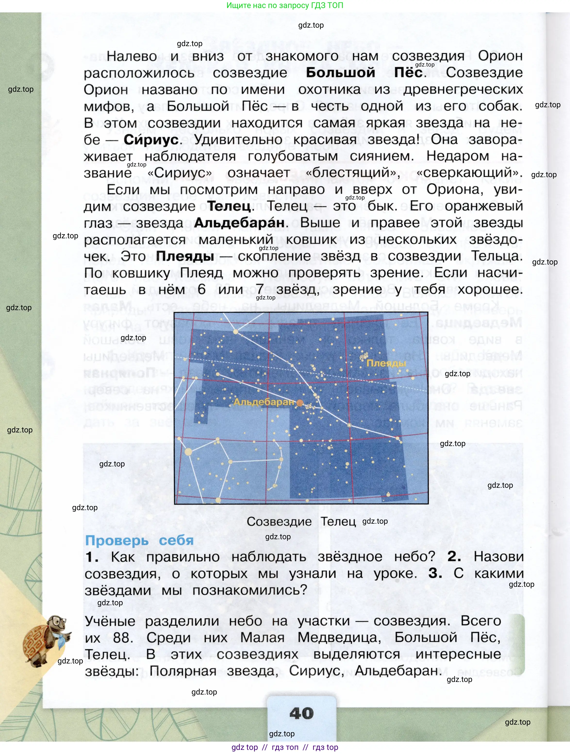 Окружающий мир, 3 класс Учебник, автор: Плешаков Андрей Анатольевич, издательство Просвещение, Москва, 2023, белого цвета, страница 40