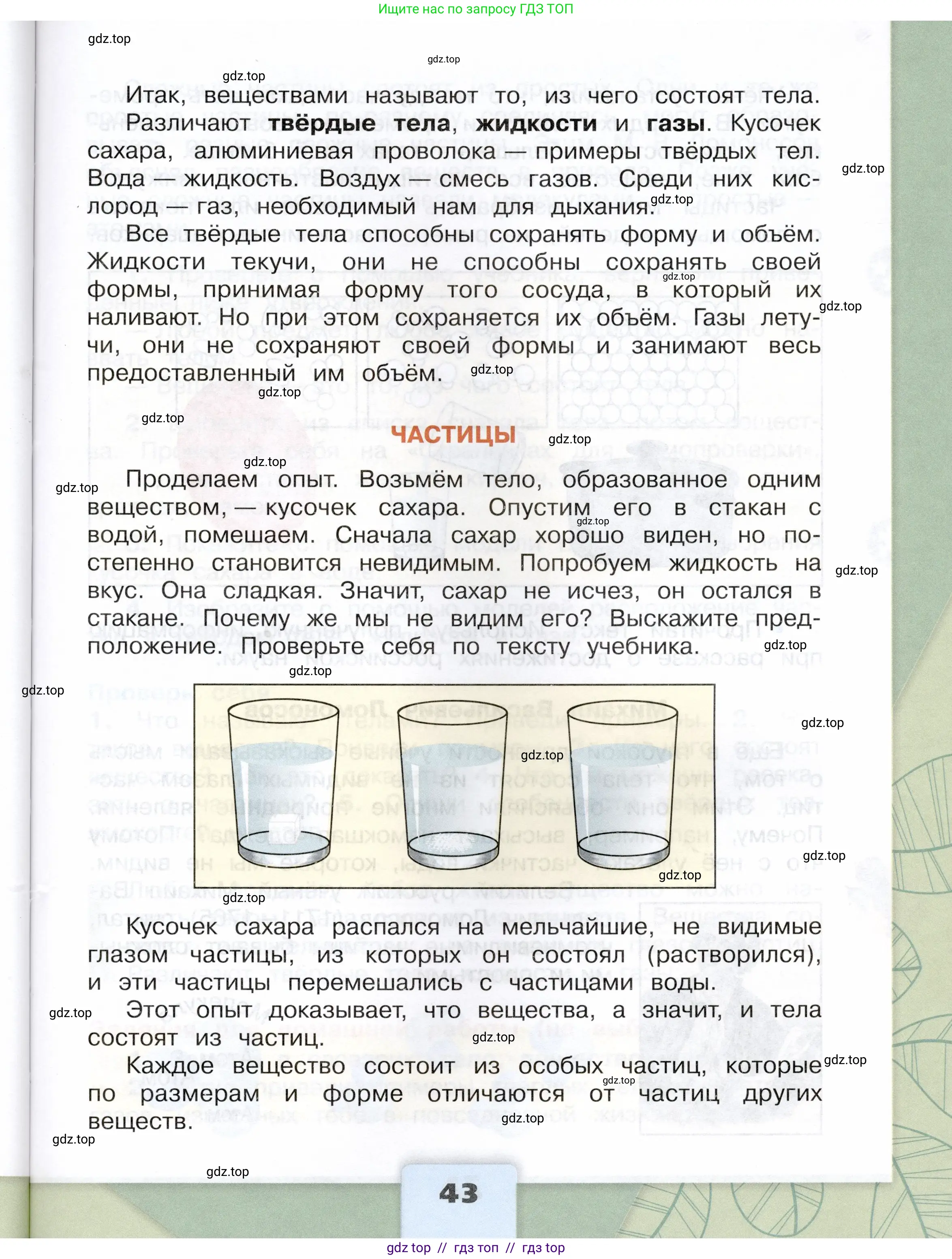 Окружающий мир, 3 класс Учебник, автор: Плешаков Андрей Анатольевич, издательство Просвещение, Москва, 2023, белого цвета, страница 43