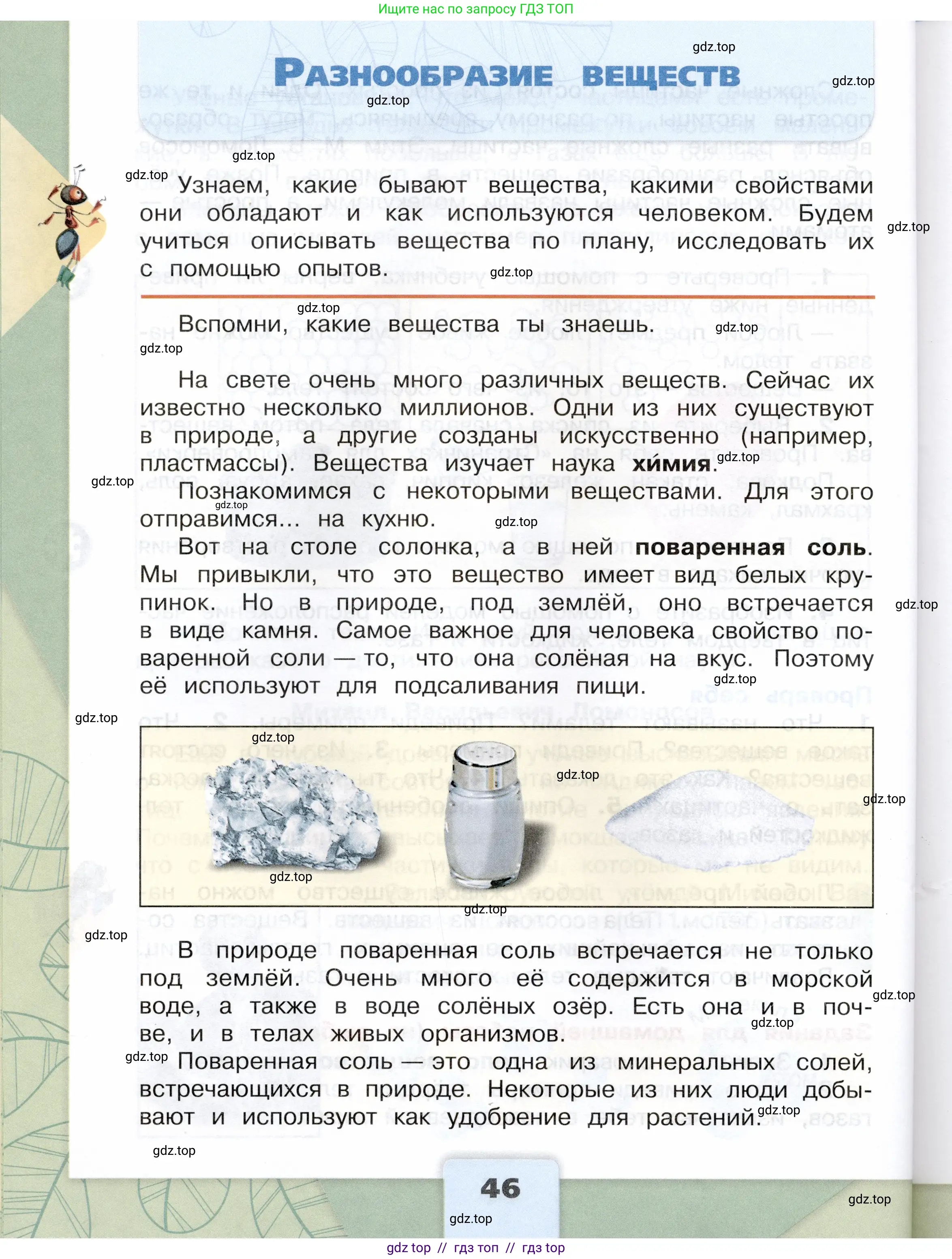 Окружающий мир, 3 класс Учебник, автор: Плешаков Андрей Анатольевич, издательство Просвещение, Москва, 2023, белого цвета, Часть 1, страница 46