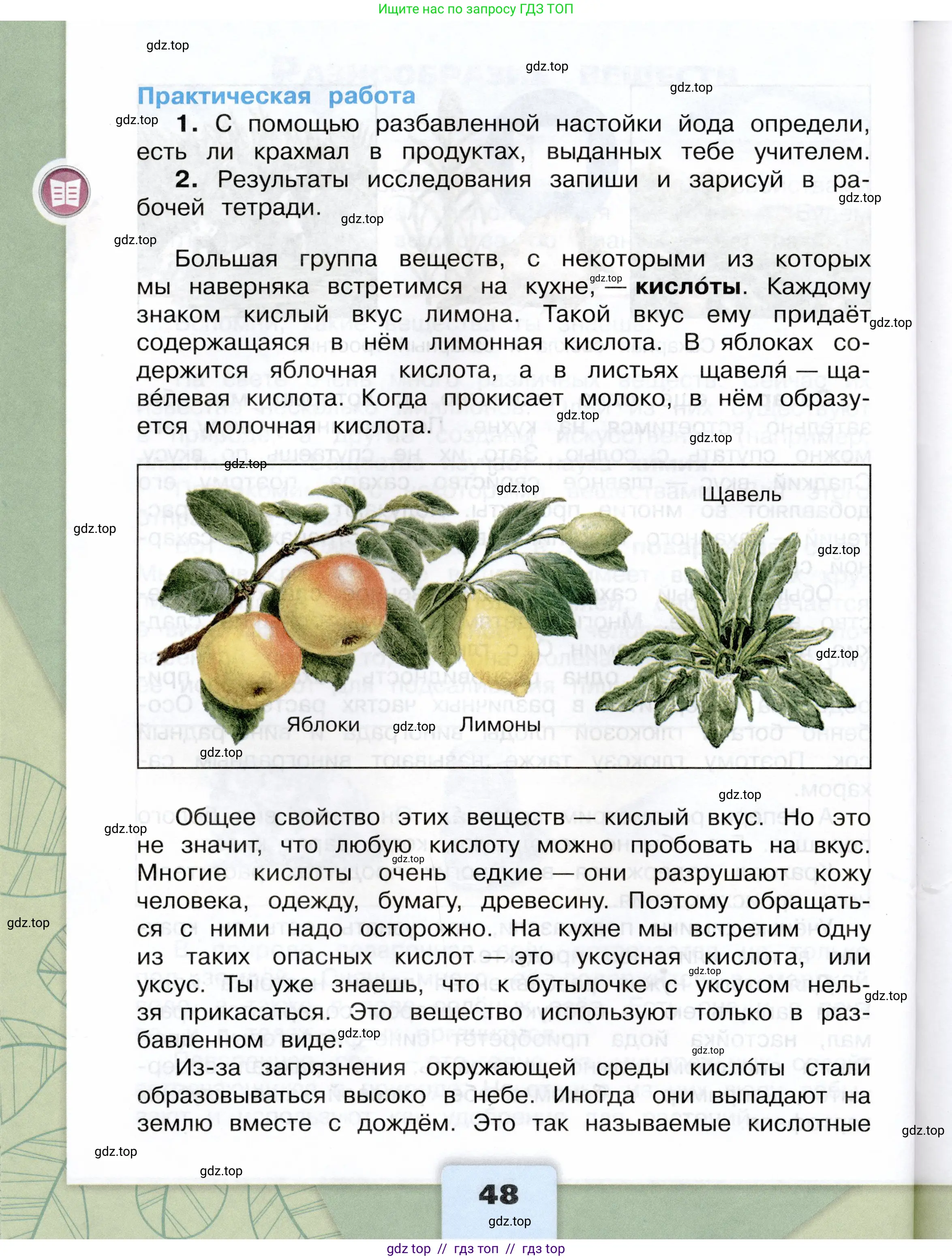 Окружающий мир, 3 класс Учебник, автор: Плешаков Андрей Анатольевич, издательство Просвещение, Москва, 2023, белого цвета, страница 48