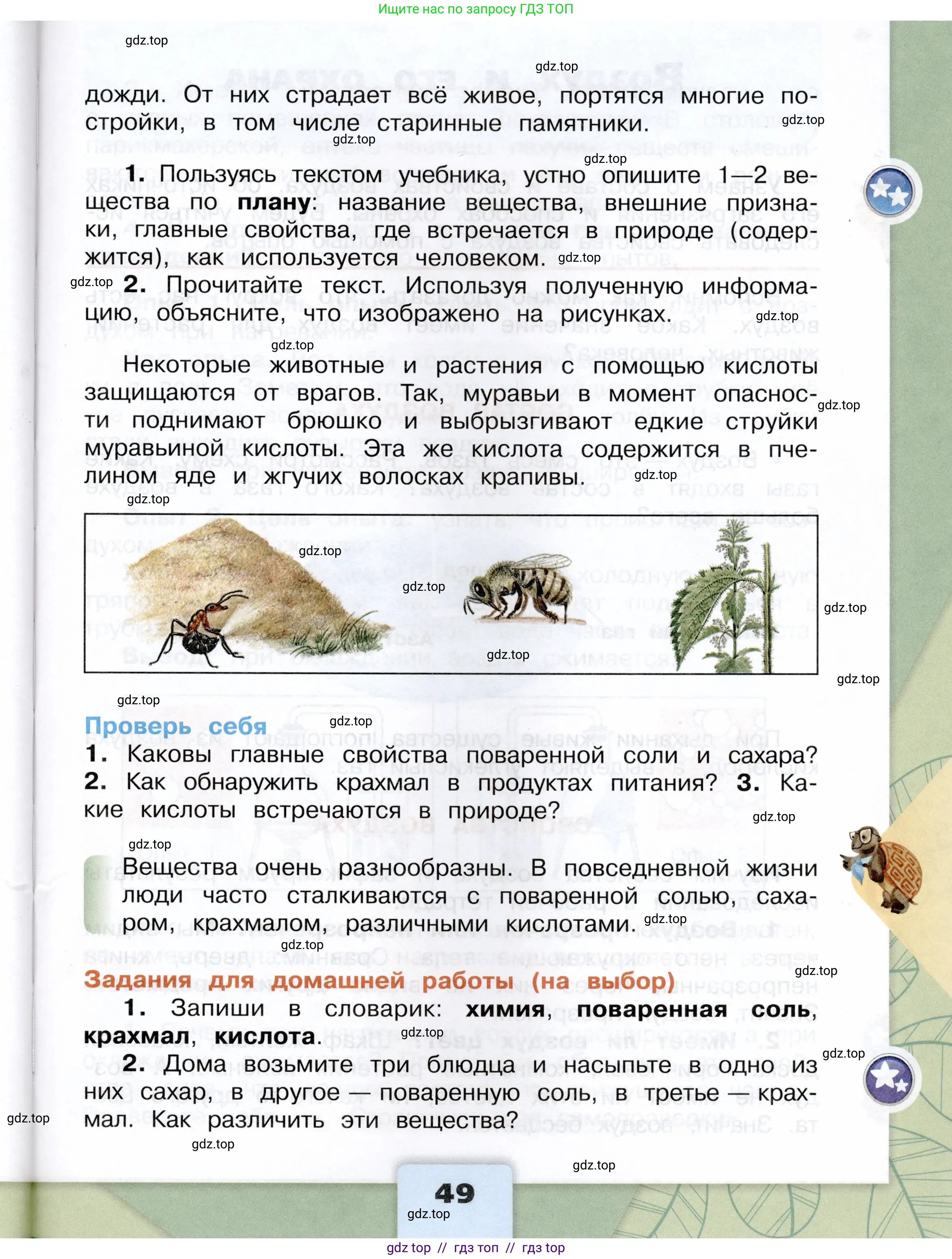 Окружающий мир, 3 класс Учебник, автор: Плешаков Андрей Анатольевич, издательство Просвещение, Москва, 2023, белого цвета, страница 49