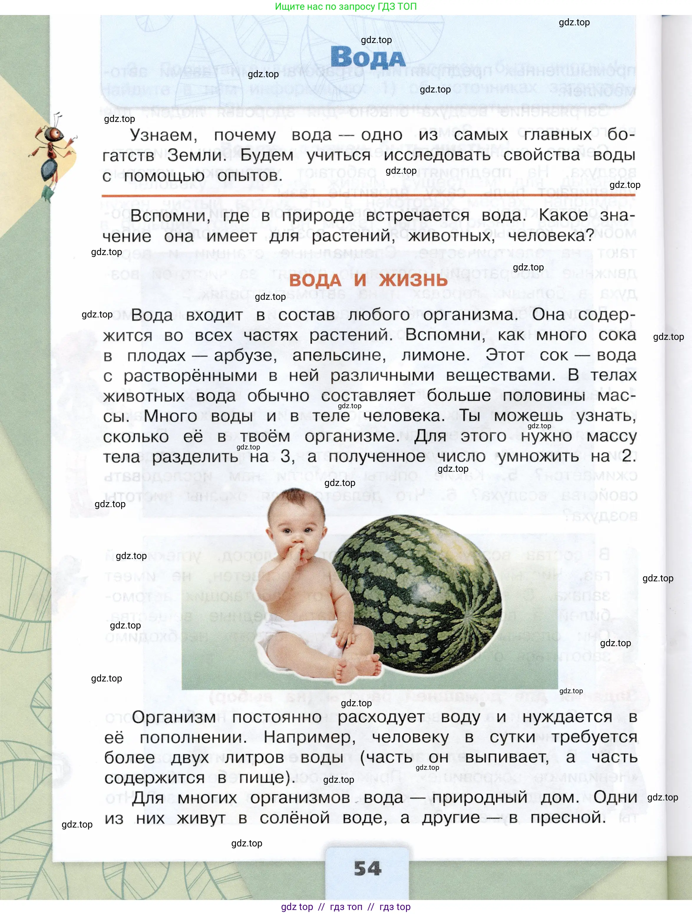 Окружающий мир, 3 класс Учебник, автор: Плешаков Андрей Анатольевич, издательство Просвещение, Москва, 2023, белого цвета, Часть 1, страница 54