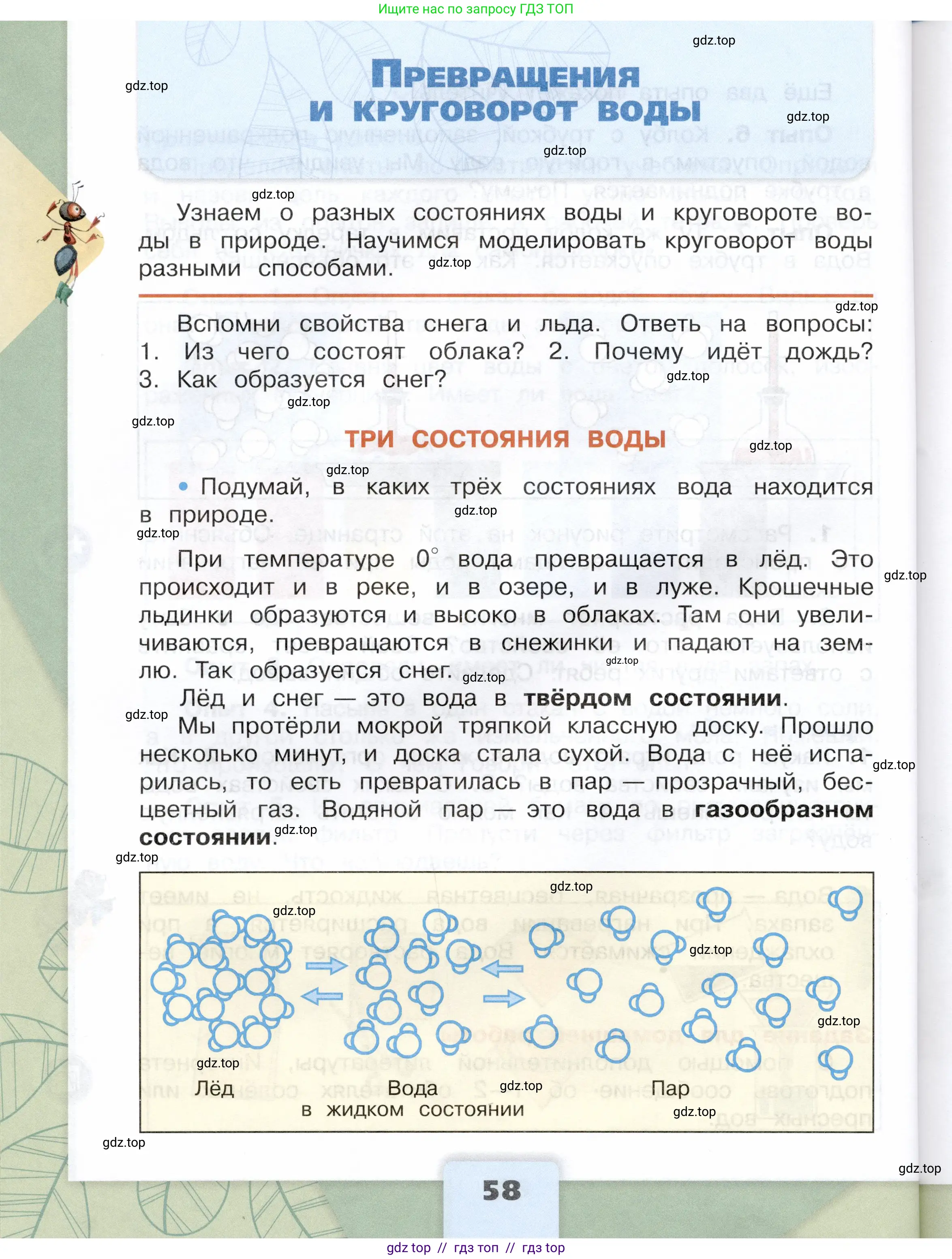 Окружающий мир, 3 класс Учебник, автор: Плешаков Андрей Анатольевич, издательство Просвещение, Москва, 2023, белого цвета, Часть 1, страница 58