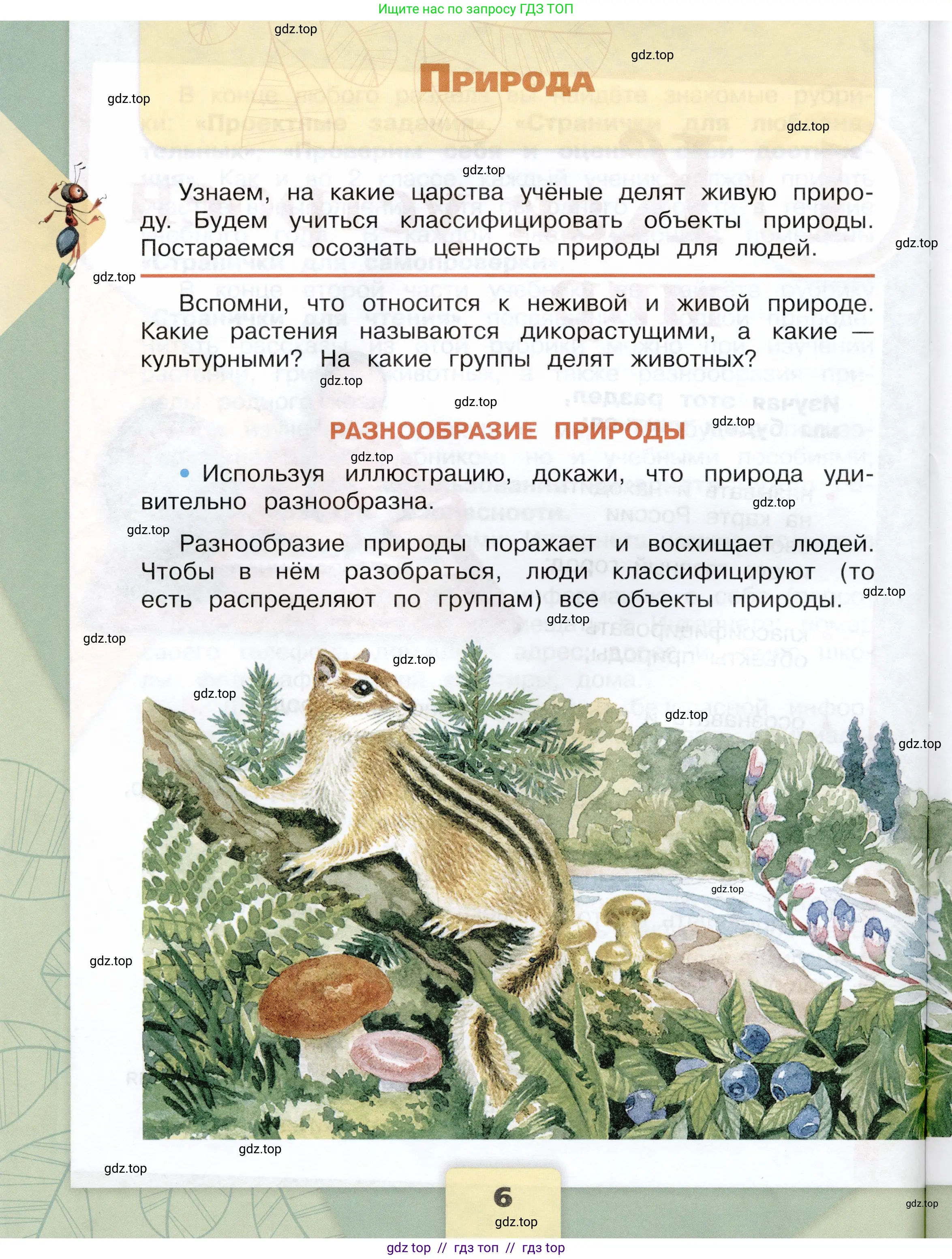 Окружающий мир, 3 класс Учебник, автор: Плешаков Андрей Анатольевич, издательство Просвещение, Москва, 2023, белого цвета, Часть 1, страница 6