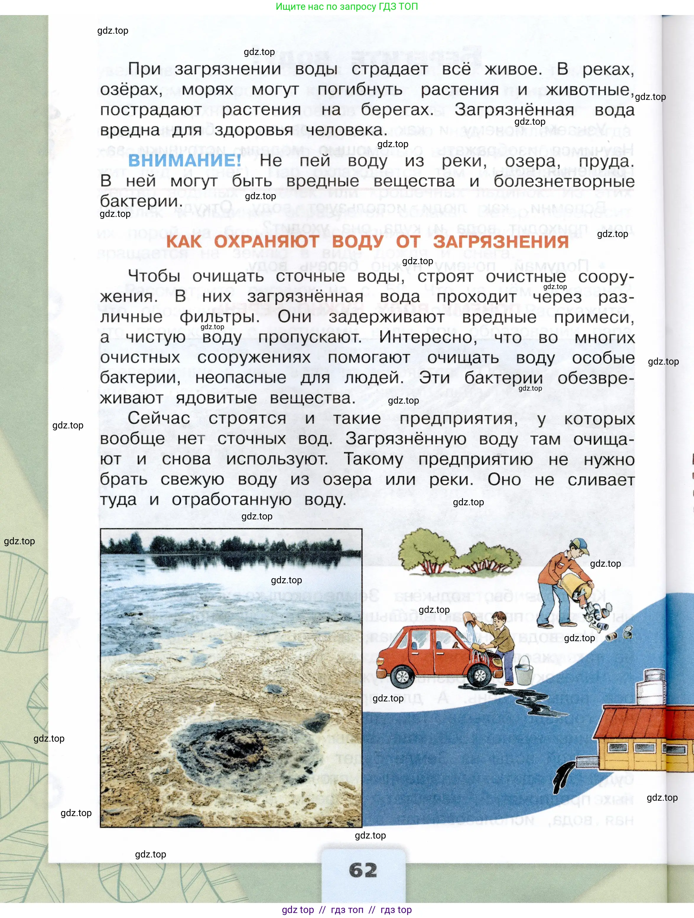 Окружающий мир, 3 класс Учебник, автор: Плешаков Андрей Анатольевич, издательство Просвещение, Москва, 2023, белого цвета, страница 62