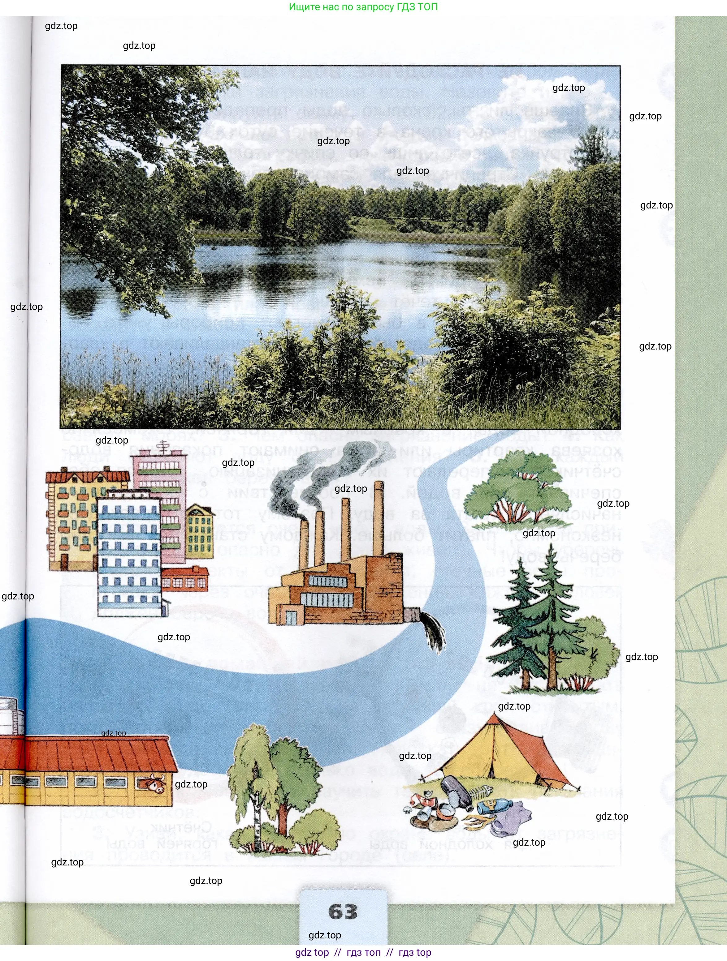 Окружающий мир, 3 класс Учебник, автор: Плешаков Андрей Анатольевич, издательство Просвещение, Москва, 2023, белого цвета, страница 63