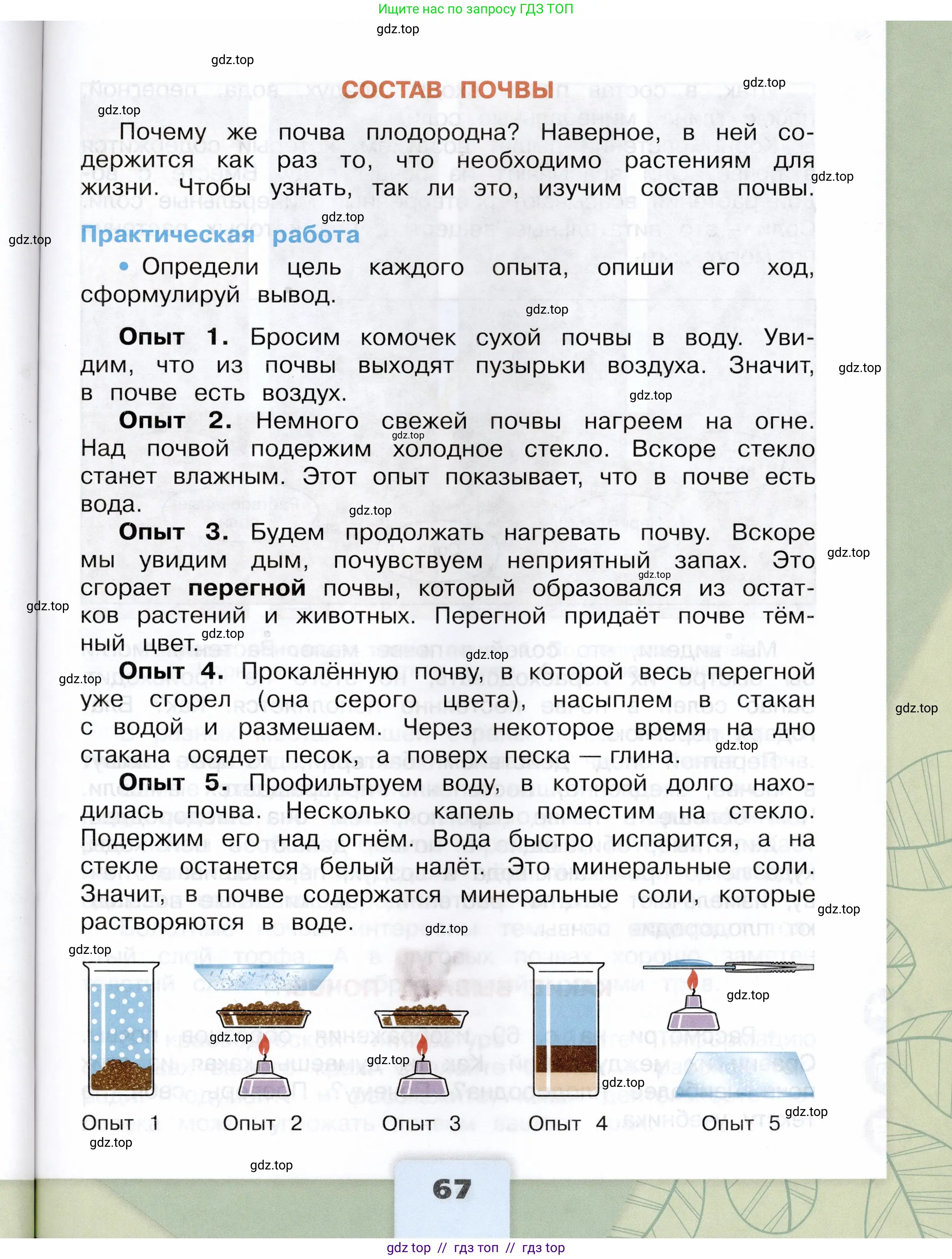 Окружающий мир, 3 класс Учебник, автор: Плешаков Андрей Анатольевич, издательство Просвещение, Москва, 2023, белого цвета, страница 67