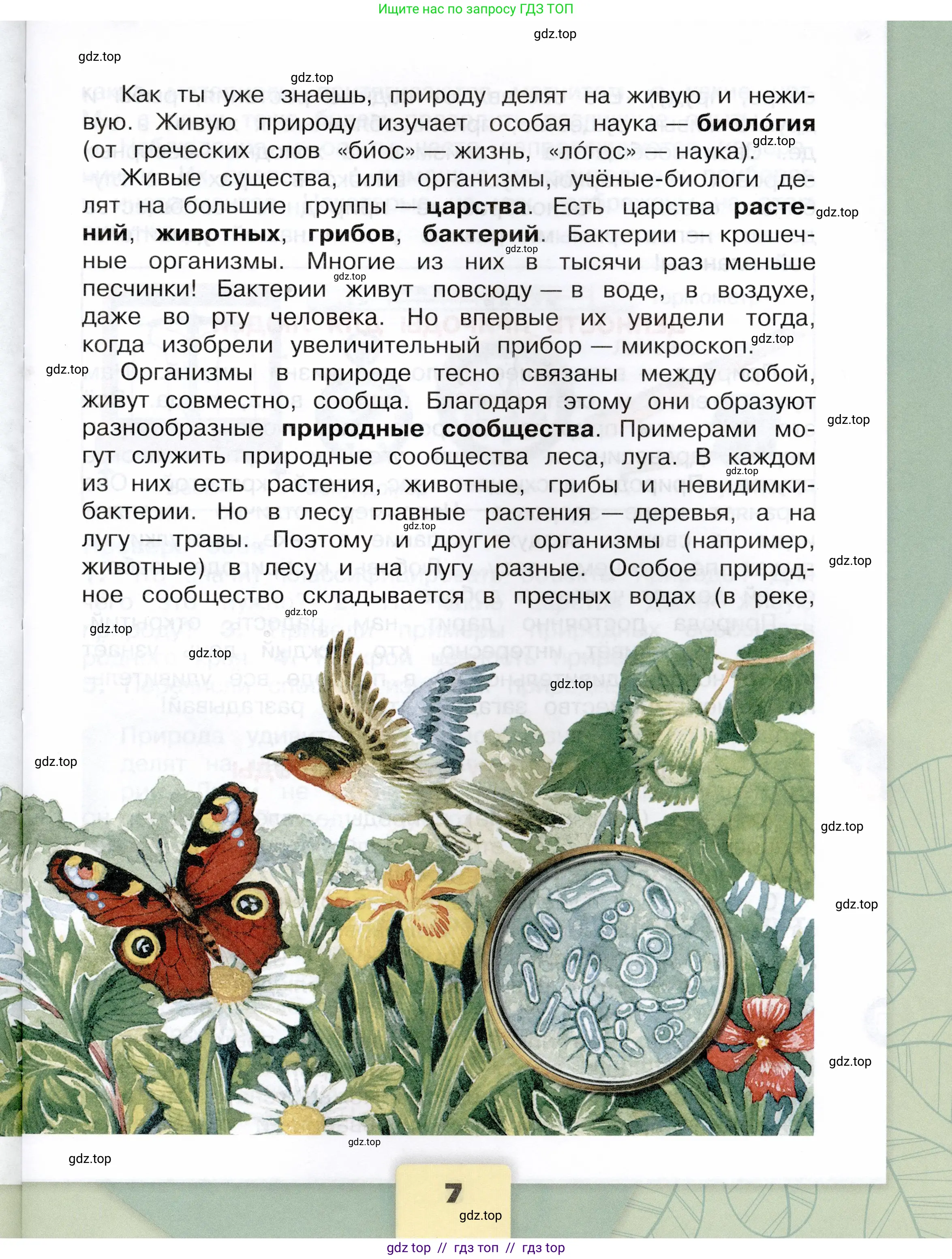 Окружающий мир, 3 класс Учебник, автор: Плешаков Андрей Анатольевич, издательство Просвещение, Москва, 2023, белого цвета, страница 7