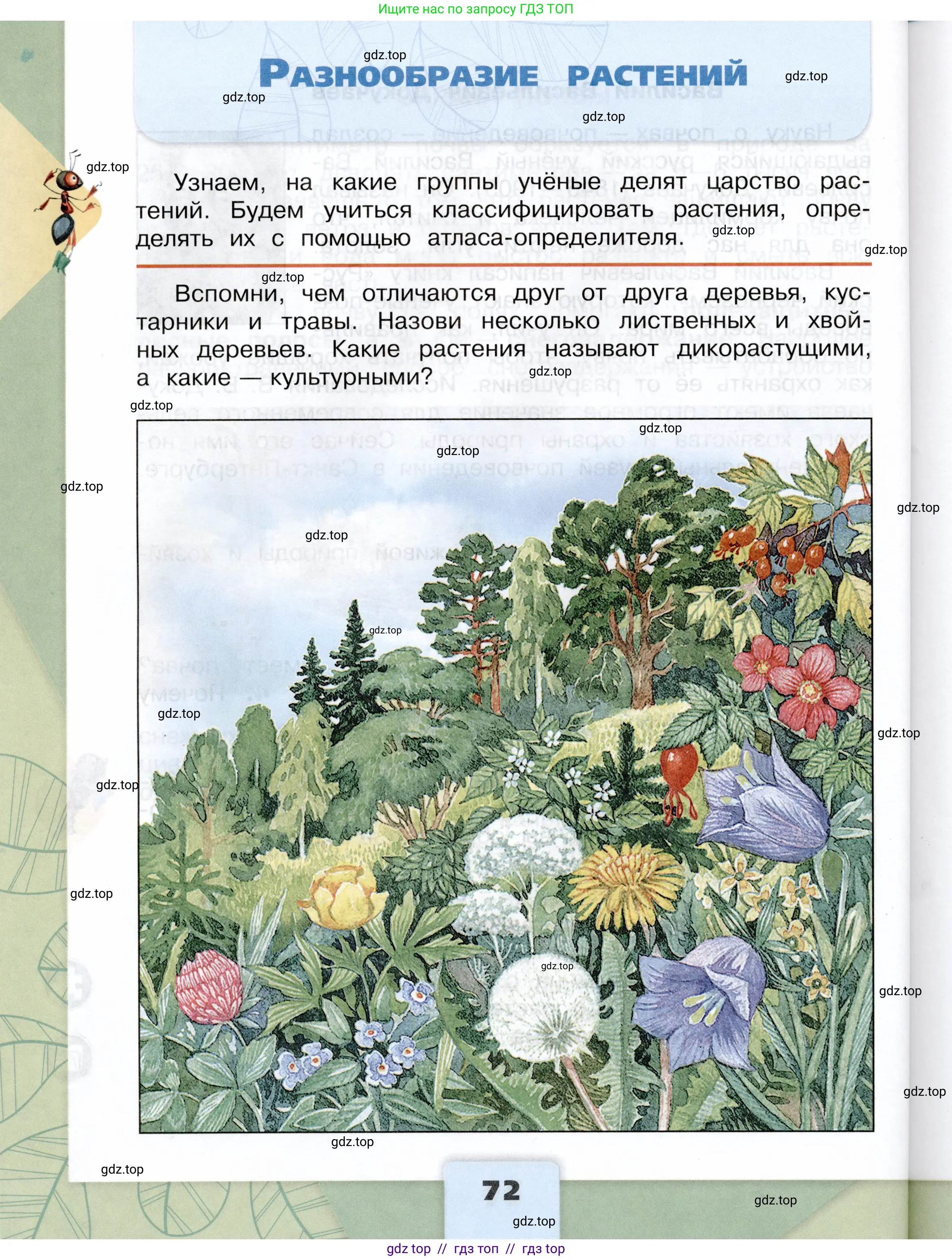 Окружающий мир, 3 класс Учебник, автор: Плешаков Андрей Анатольевич, издательство Просвещение, Москва, 2023, белого цвета, Часть 1, страница 72