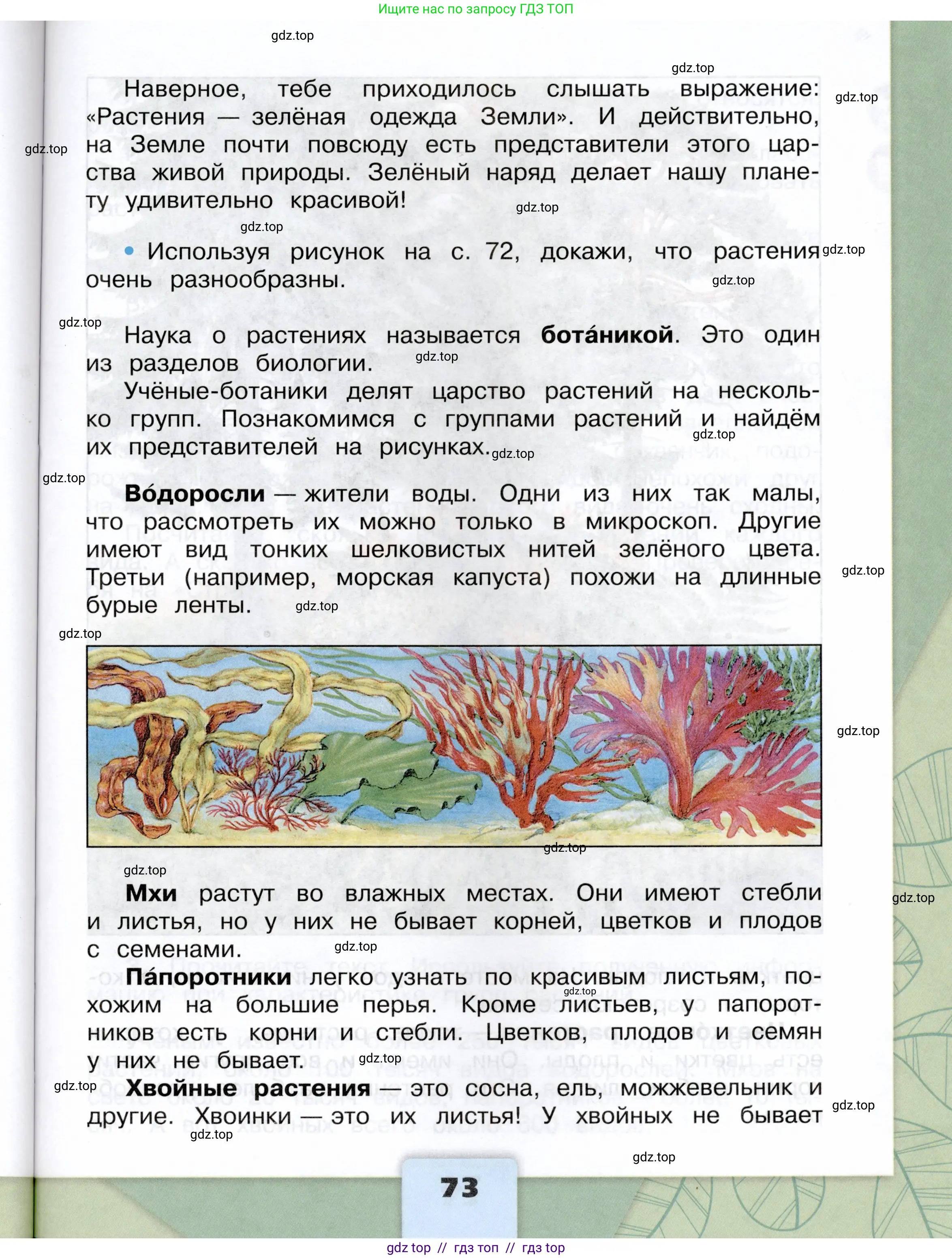 Окружающий мир, 3 класс Учебник, автор: Плешаков Андрей Анатольевич, издательство Просвещение, Москва, 2023, белого цвета, страница 73