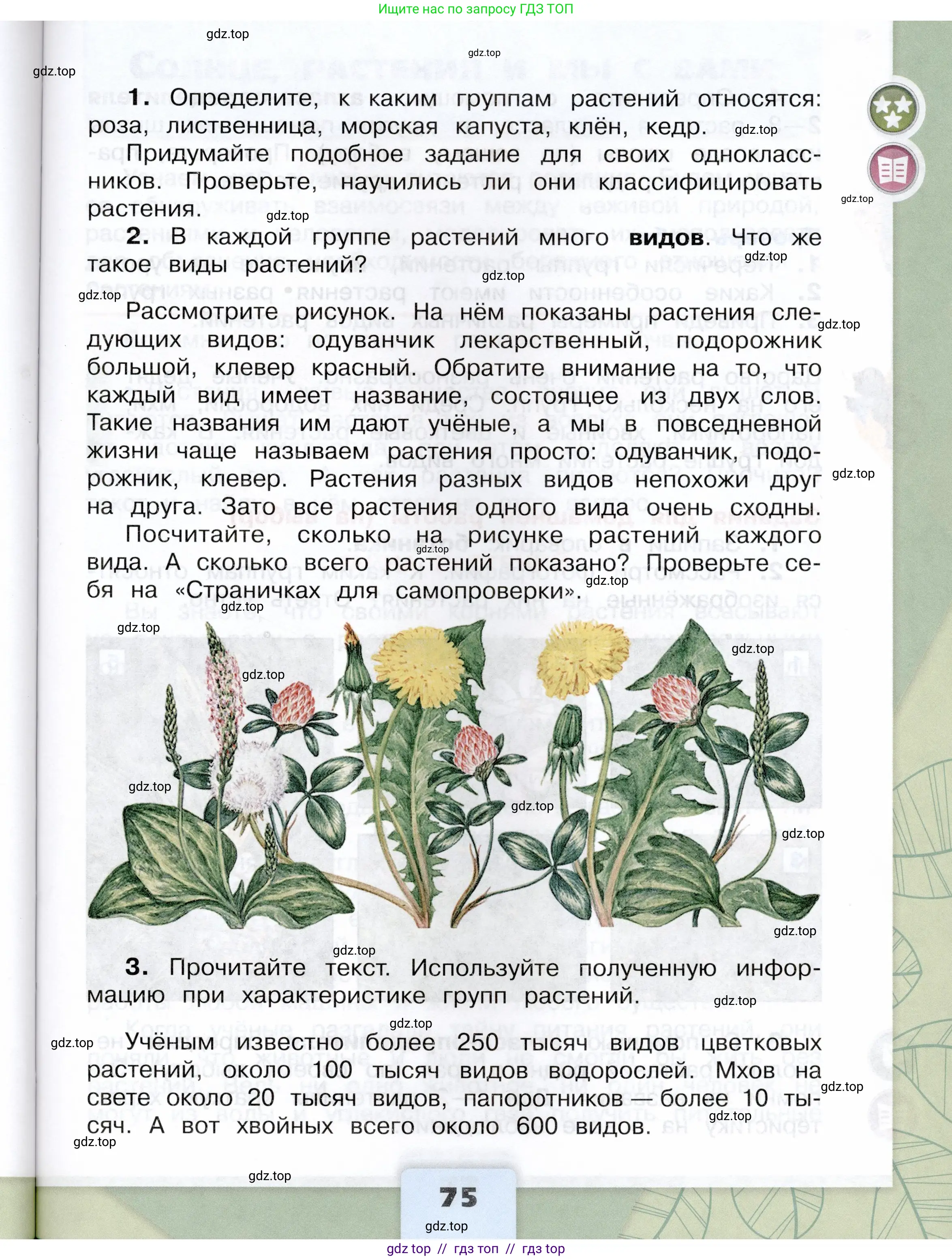 Окружающий мир, 3 класс Учебник, автор: Плешаков Андрей Анатольевич, издательство Просвещение, Москва, 2023, белого цвета, страница 75
