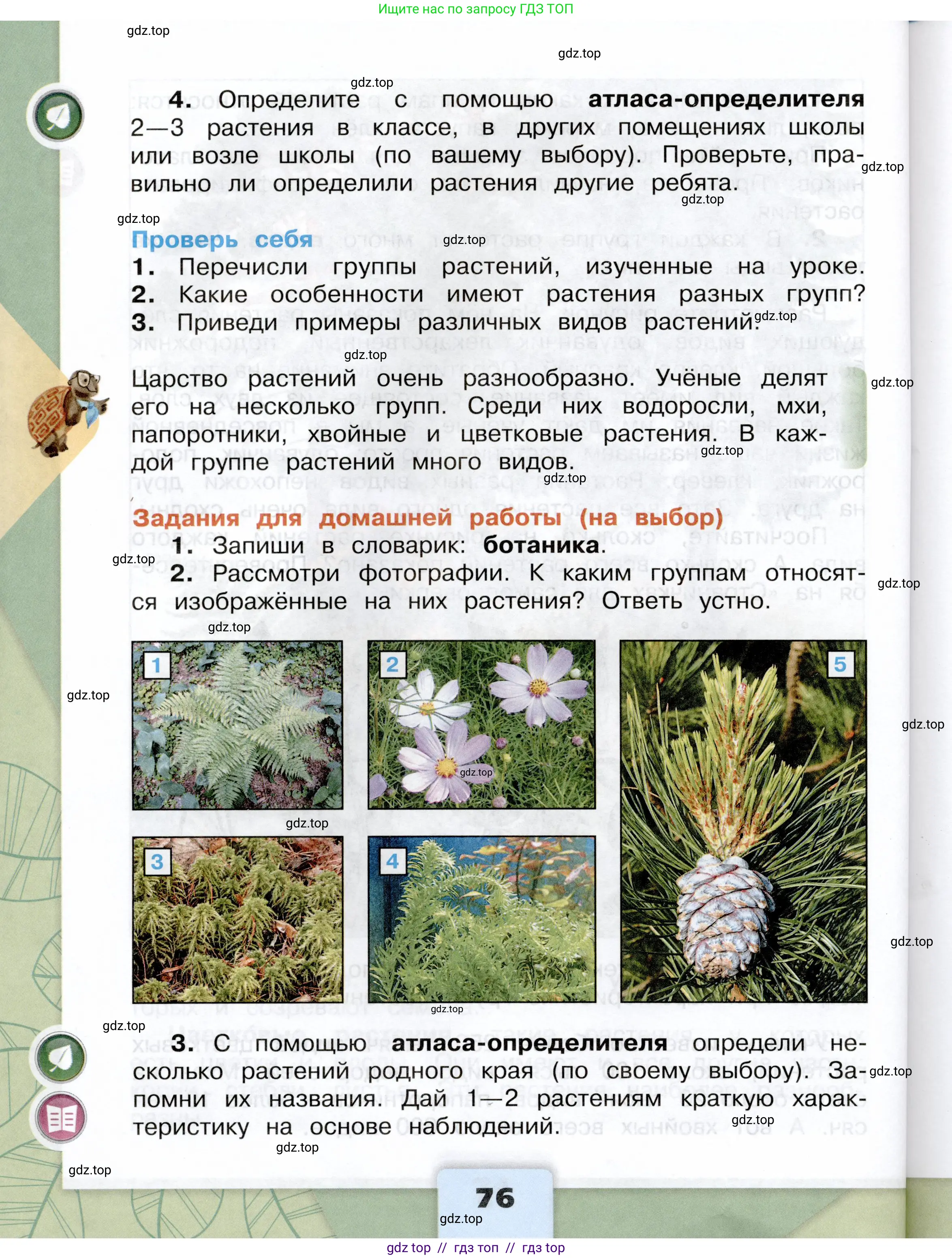Окружающий мир, 3 класс Учебник, автор: Плешаков Андрей Анатольевич, издательство Просвещение, Москва, 2023, белого цвета, страница 76