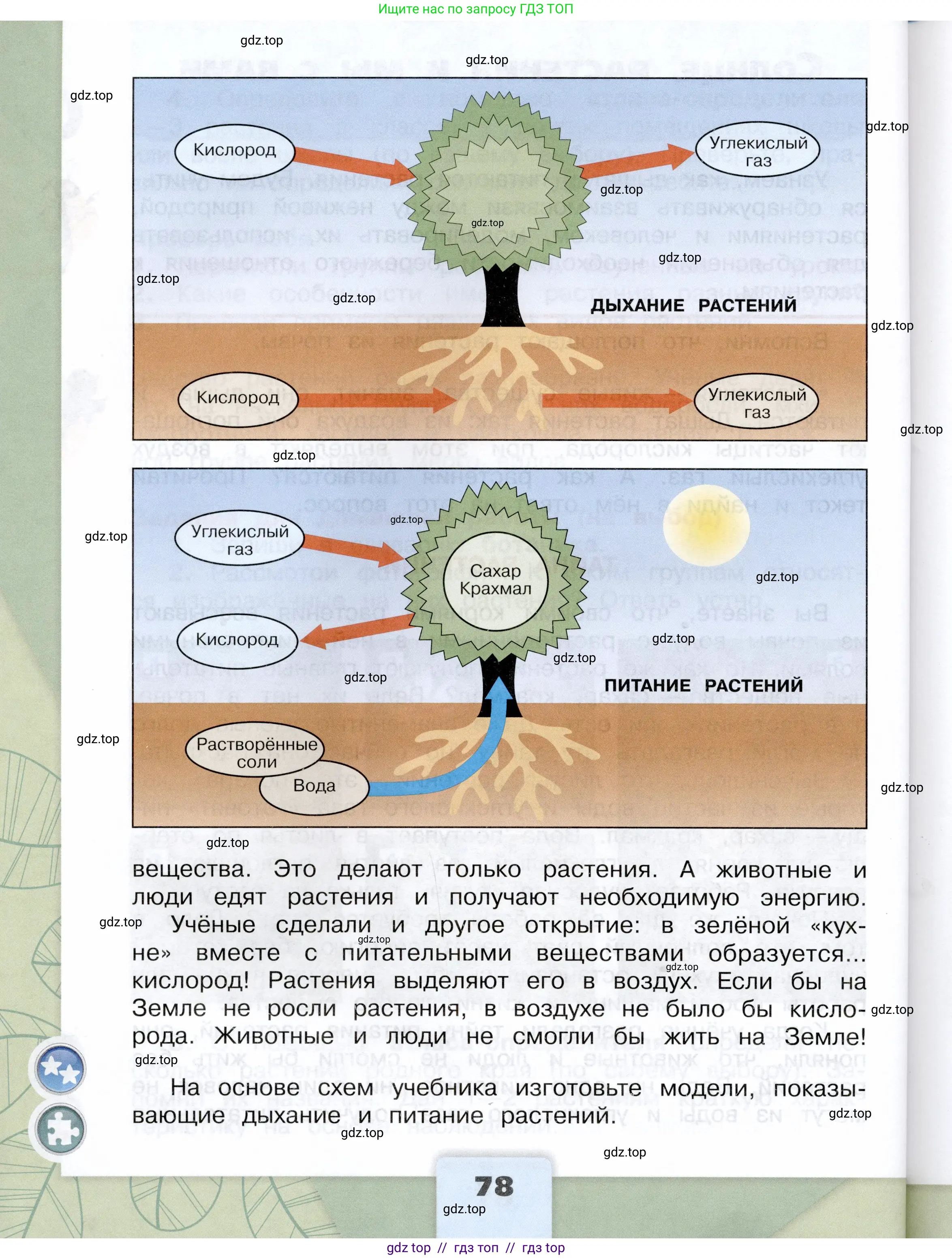 Окружающий мир, 3 класс Учебник, автор: Плешаков Андрей Анатольевич, издательство Просвещение, Москва, 2023, белого цвета, страница 78