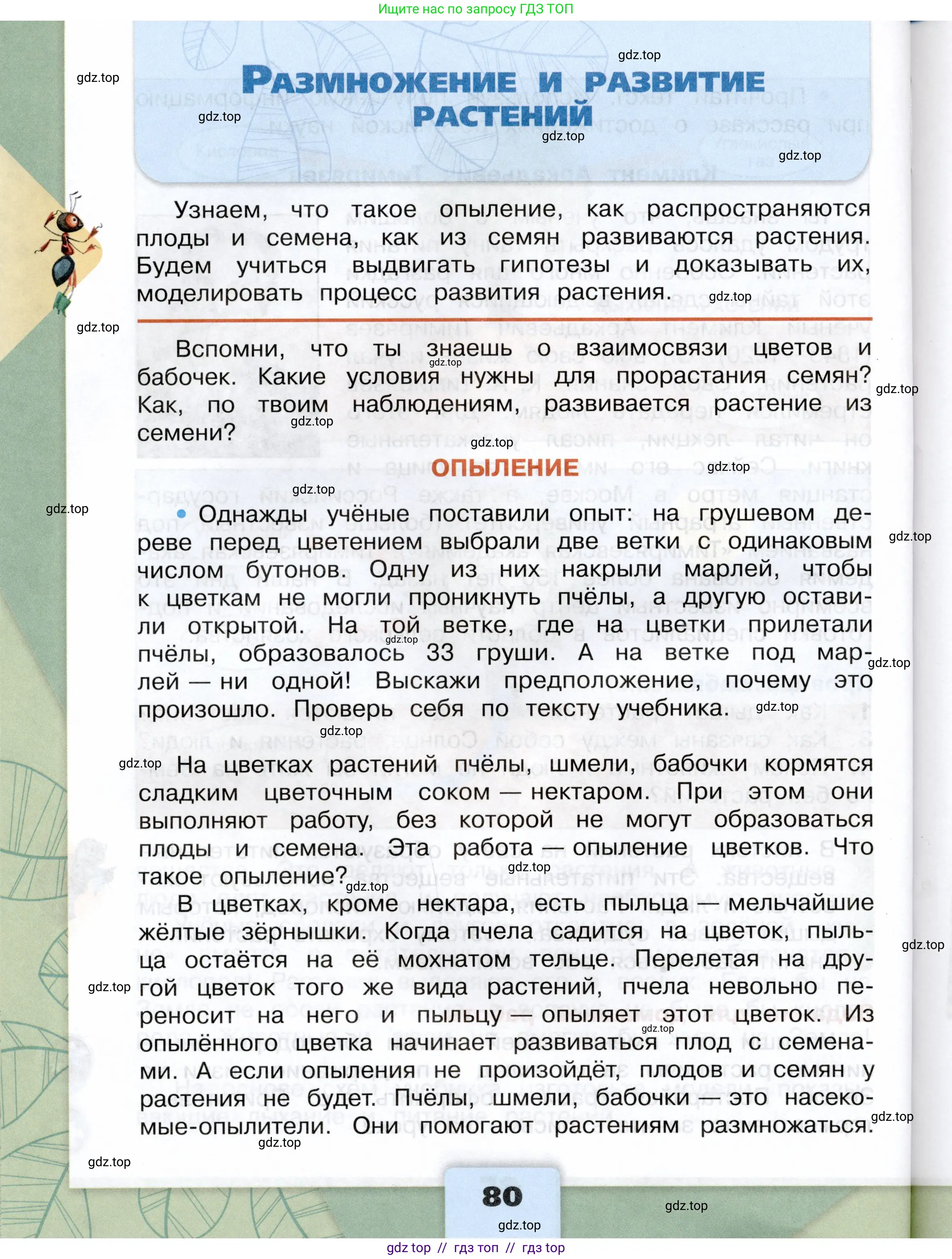 Окружающий мир, 3 класс Учебник, автор: Плешаков Андрей Анатольевич, издательство Просвещение, Москва, 2023, белого цвета, Часть 1, страница 80