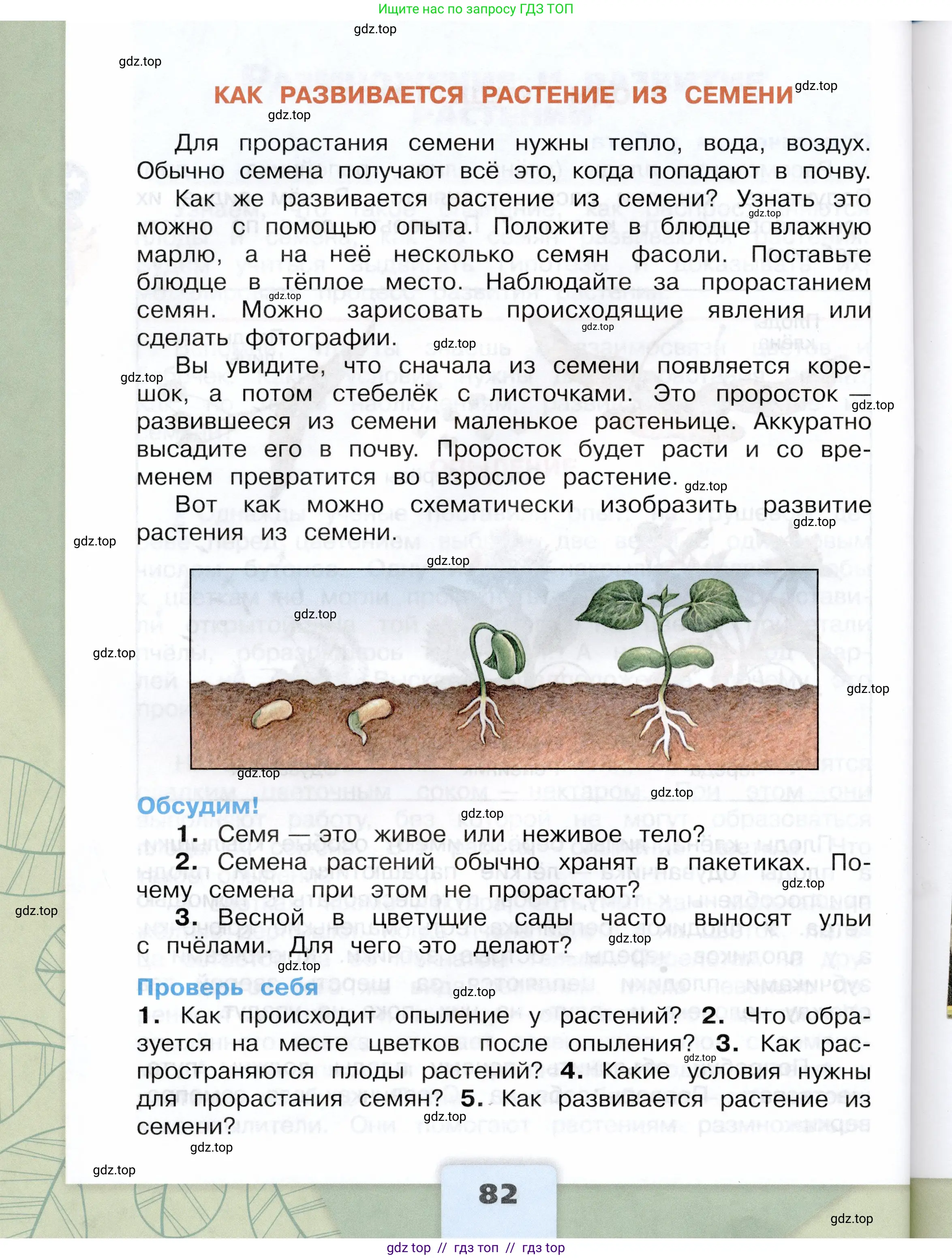Окружающий мир, 3 класс Учебник, автор: Плешаков Андрей Анатольевич, издательство Просвещение, Москва, 2023, белого цвета, страница 82