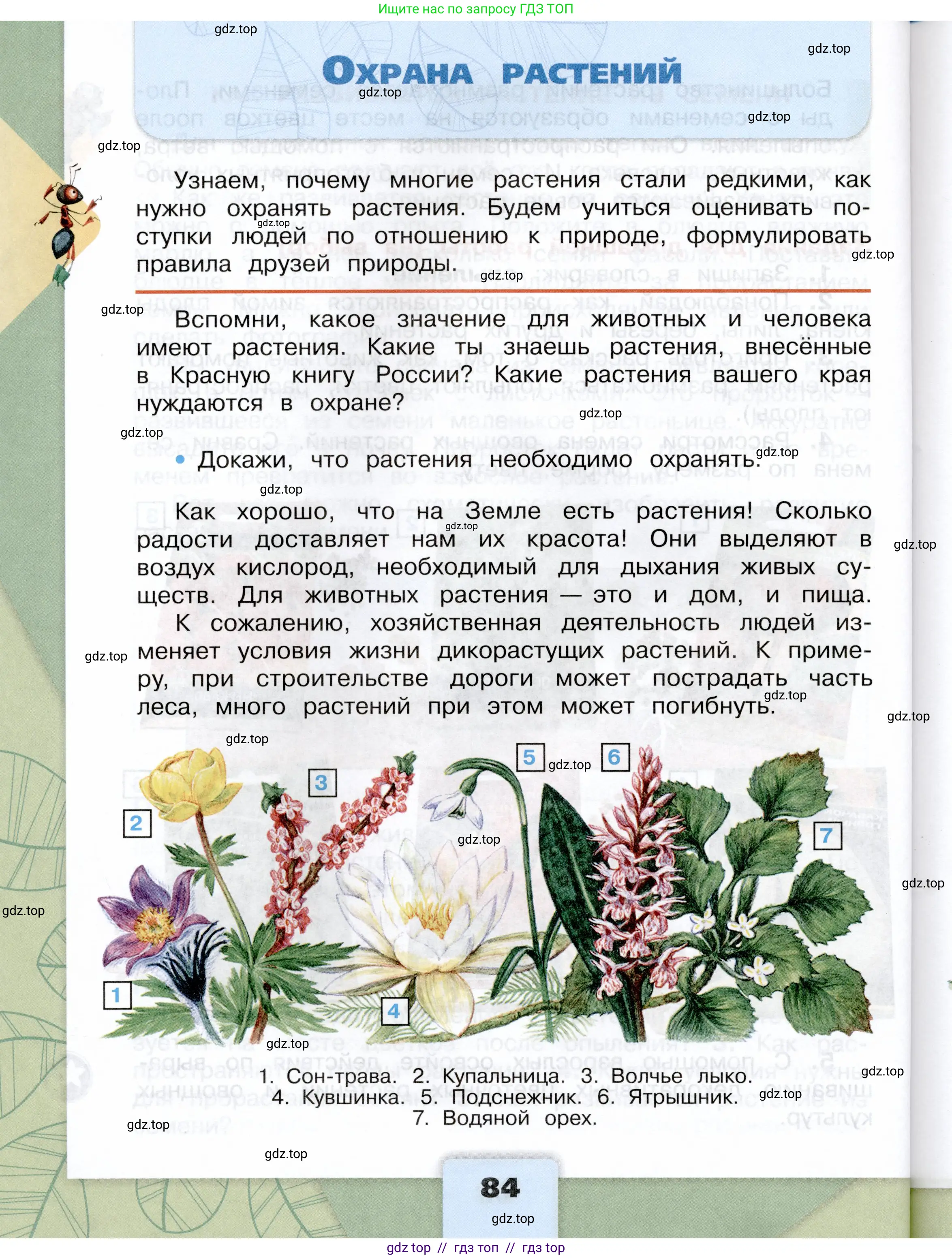 Окружающий мир, 3 класс Учебник, автор: Плешаков Андрей Анатольевич, издательство Просвещение, Москва, 2023, белого цвета, Часть 1, страница 84