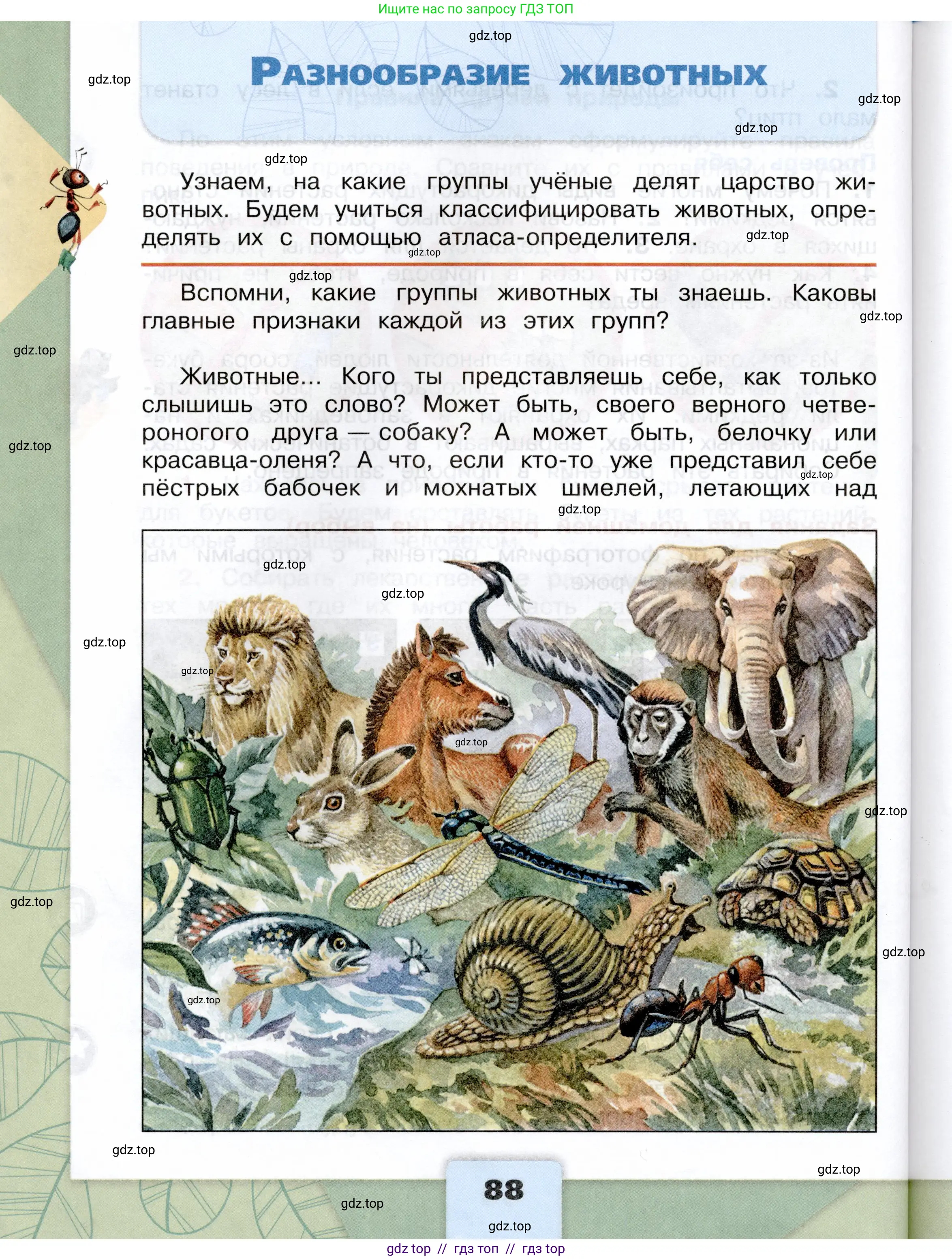 Окружающий мир, 3 класс Учебник, автор: Плешаков Андрей Анатольевич, издательство Просвещение, Москва, 2023, белого цвета, Часть 1, страница 88