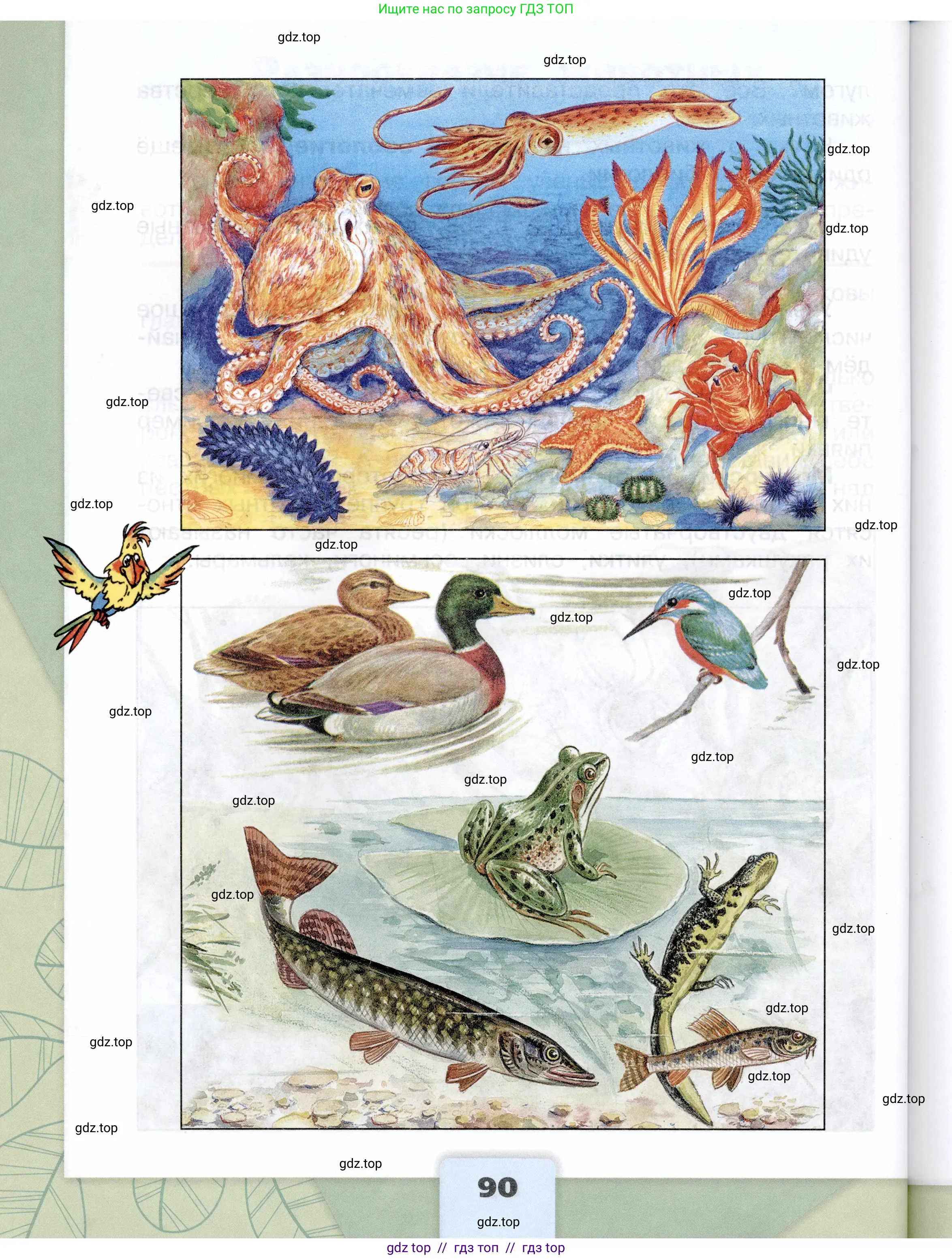 Окружающий мир, 3 класс Учебник, автор: Плешаков Андрей Анатольевич, издательство Просвещение, Москва, 2023, белого цвета, страница 90