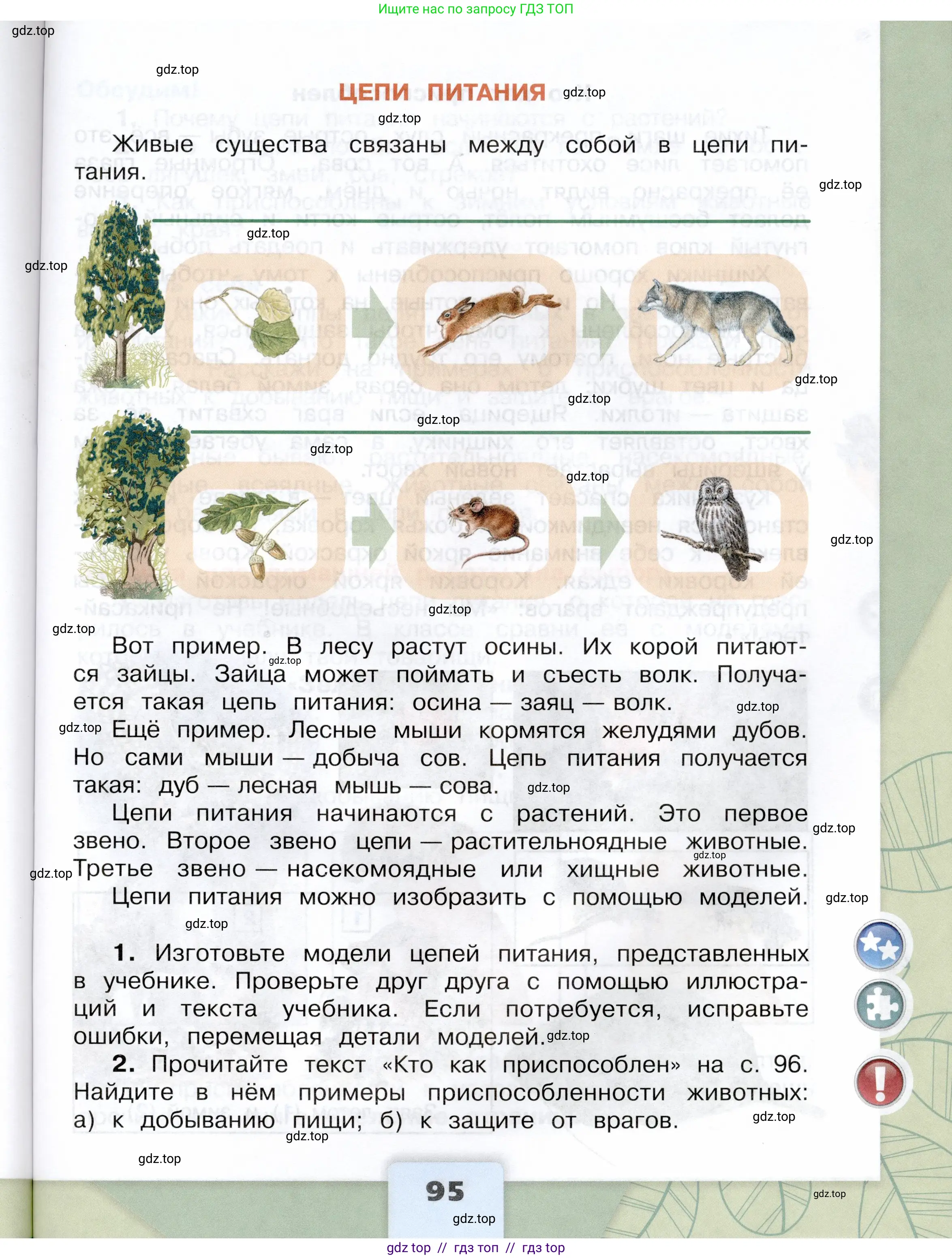 Окружающий мир, 3 класс Учебник, автор: Плешаков Андрей Анатольевич, издательство Просвещение, Москва, 2023, белого цвета, страница 95