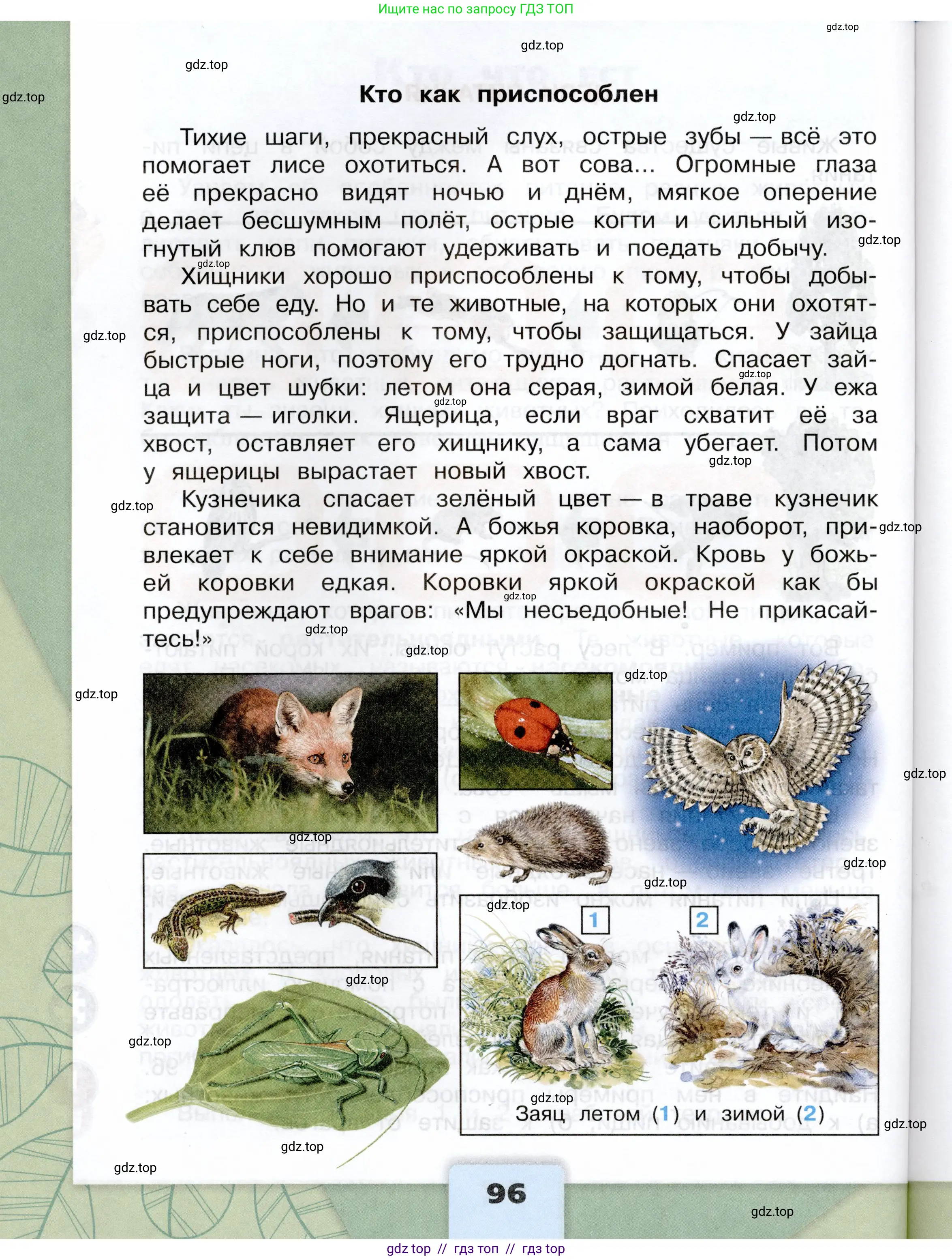 Окружающий мир, 3 класс Учебник, автор: Плешаков Андрей Анатольевич, издательство Просвещение, Москва, 2023, белого цвета, страница 96