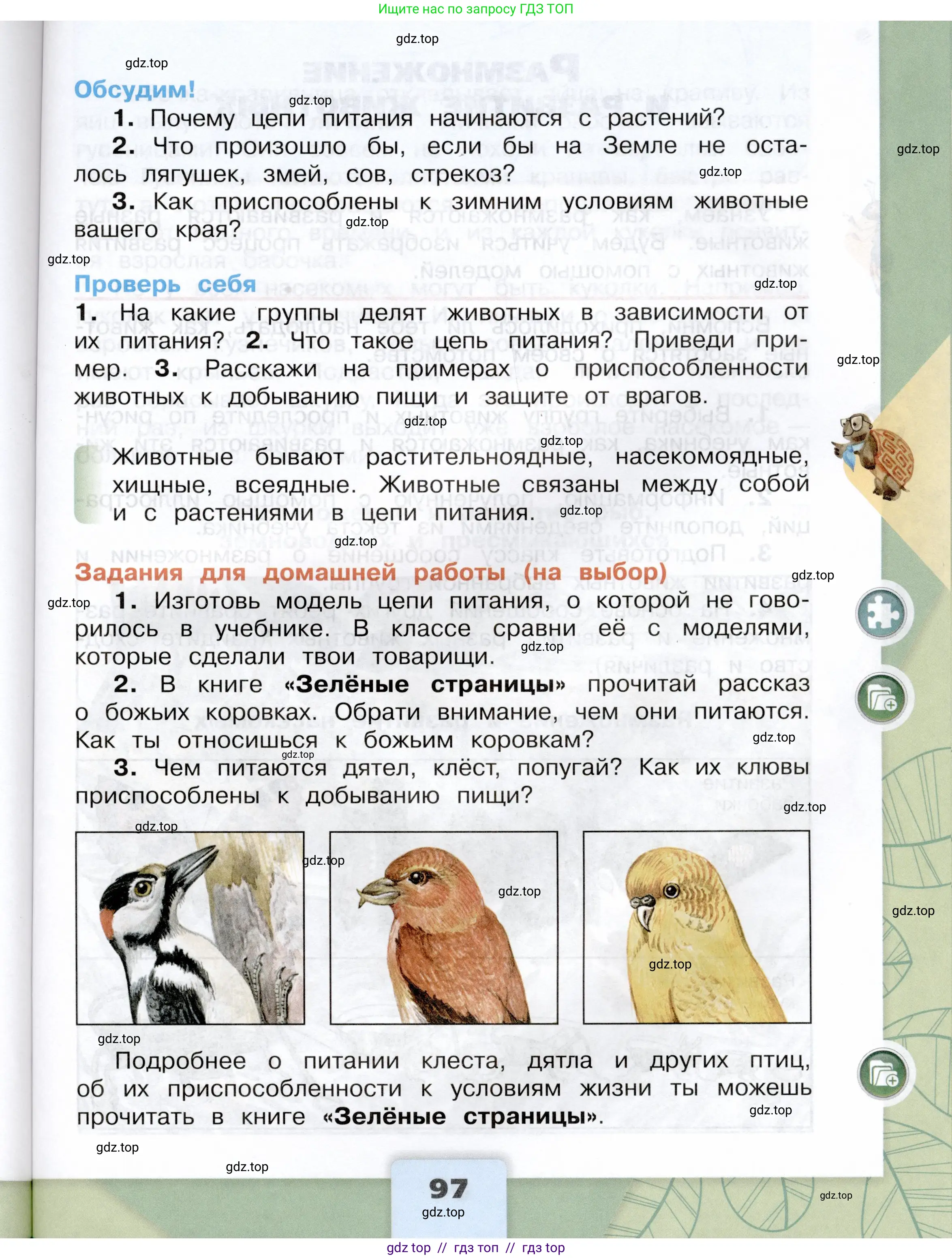 Окружающий мир, 3 класс Учебник, автор: Плешаков Андрей Анатольевич, издательство Просвещение, Москва, 2023, белого цвета, страница 97