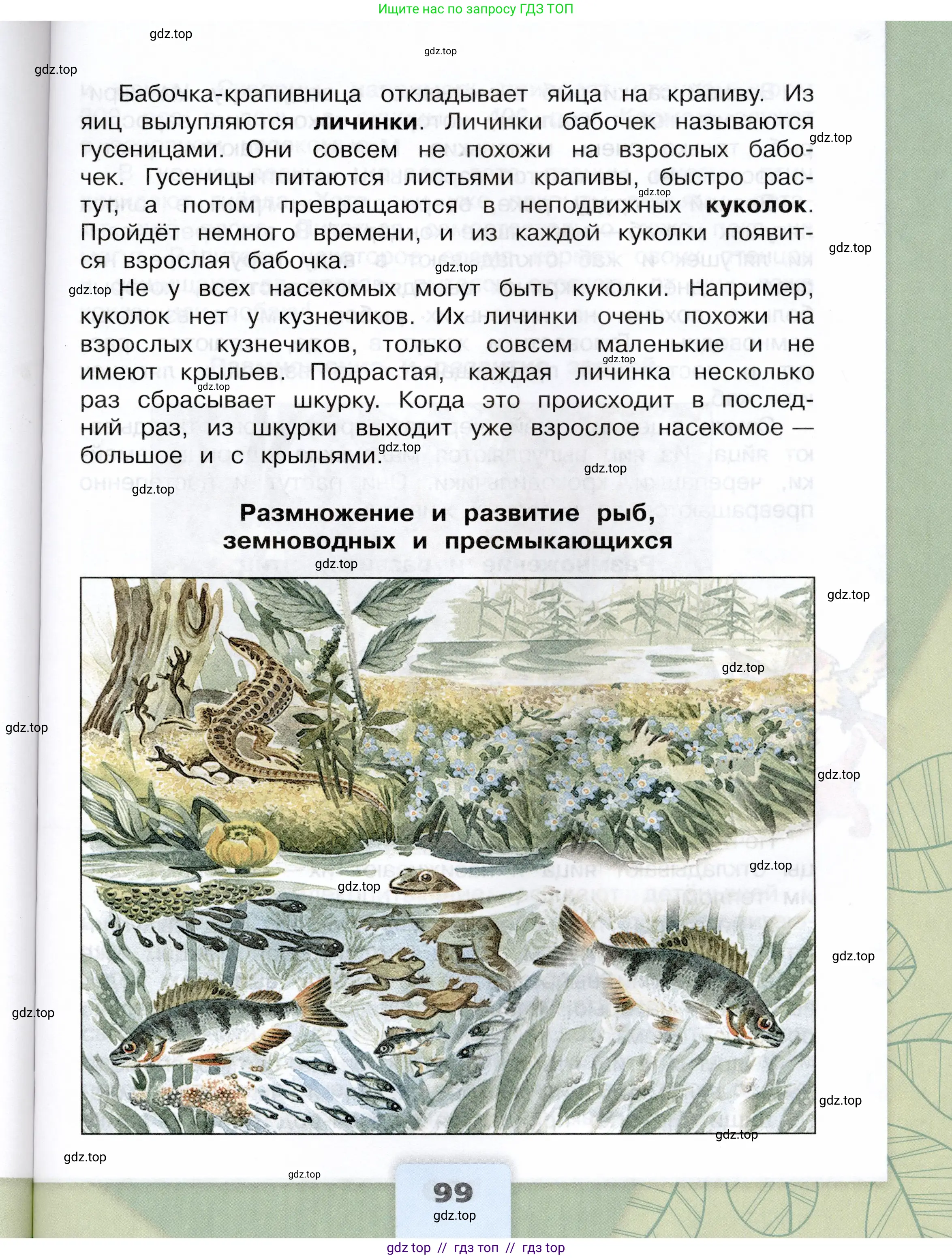Окружающий мир, 3 класс Учебник, автор: Плешаков Андрей Анатольевич, издательство Просвещение, Москва, 2023, белого цвета, страница 99