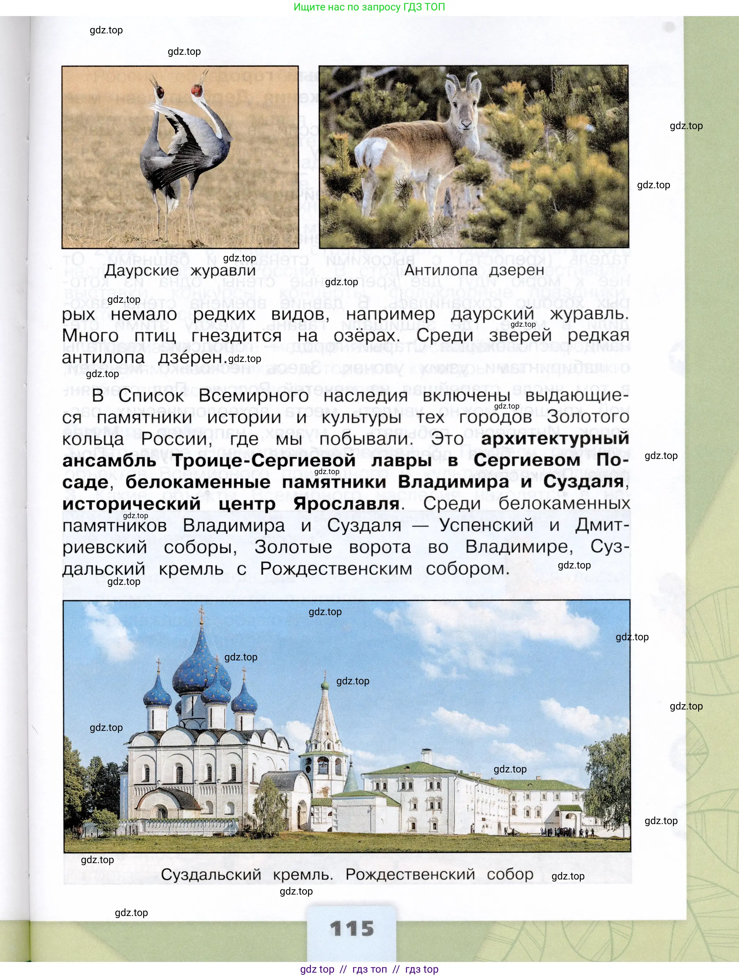 Окружающий мир, 3 класс Учебник, автор: Плешаков Андрей Анатольевич, издательство Просвещение, Москва, 2023, белого цвета, страница 115