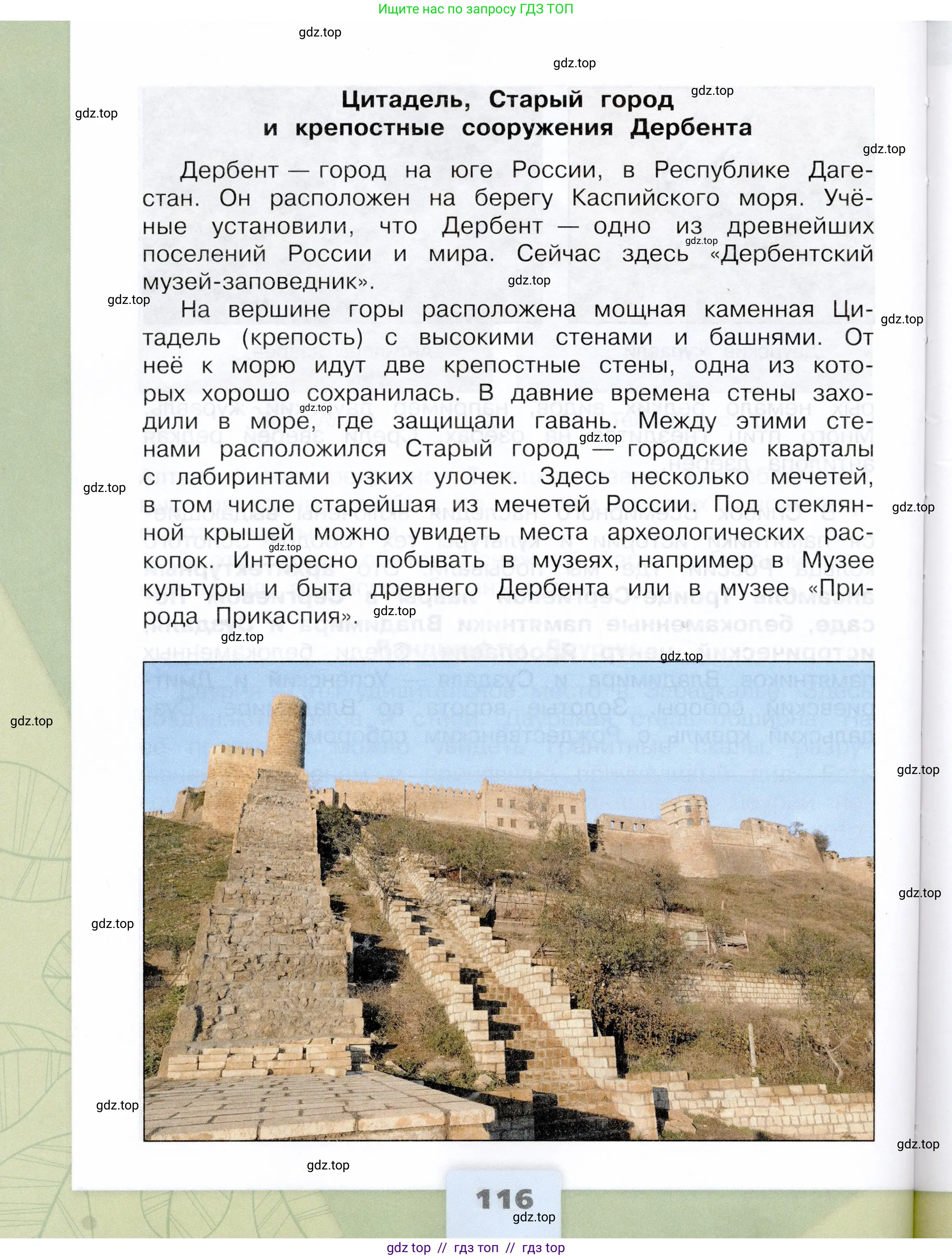 Окружающий мир, 3 класс Учебник, автор: Плешаков Андрей Анатольевич, издательство Просвещение, Москва, 2023, белого цвета, страница 116