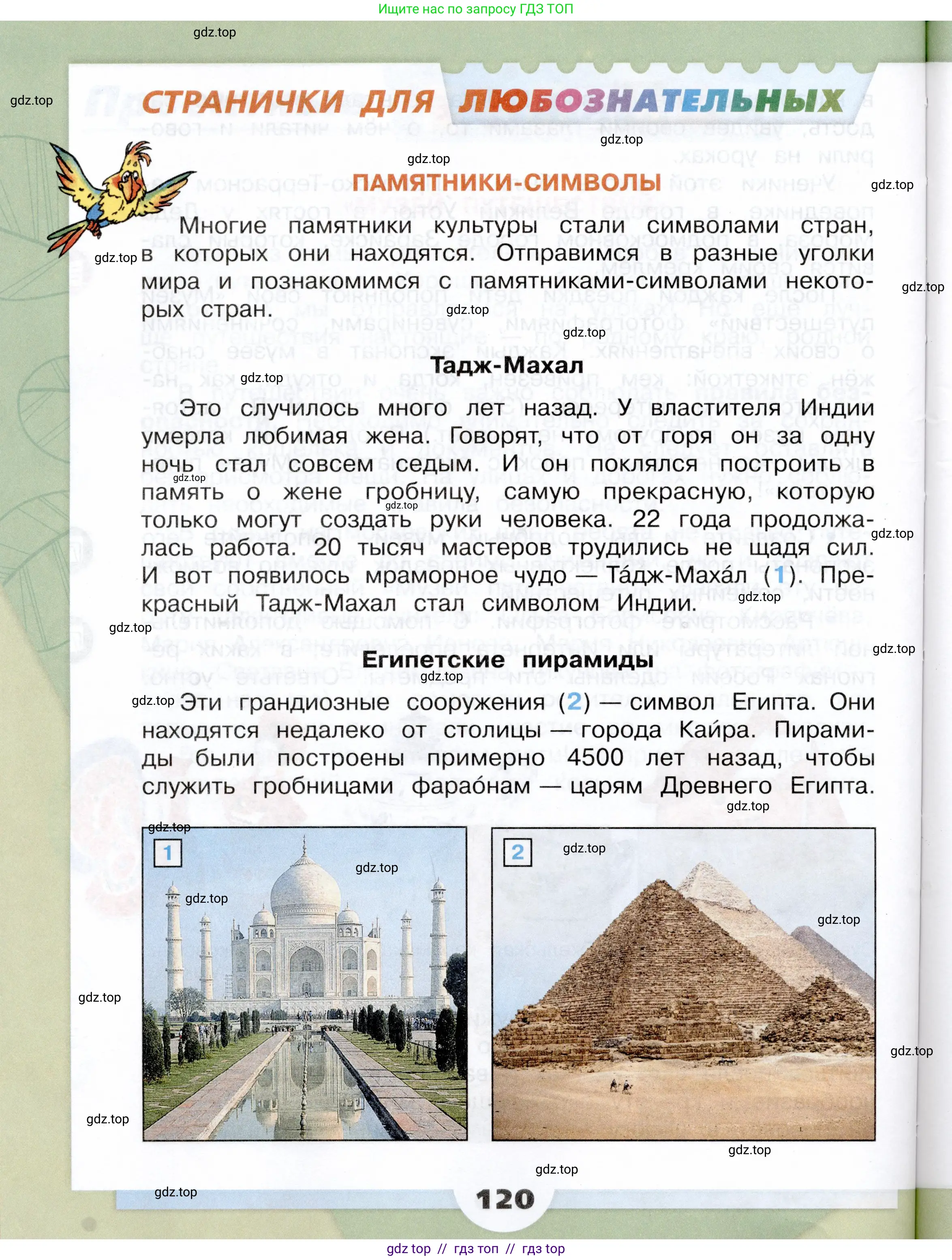 Окружающий мир, 3 класс Учебник, автор: Плешаков Андрей Анатольевич, издательство Просвещение, Москва, 2023, белого цвета, страница 120