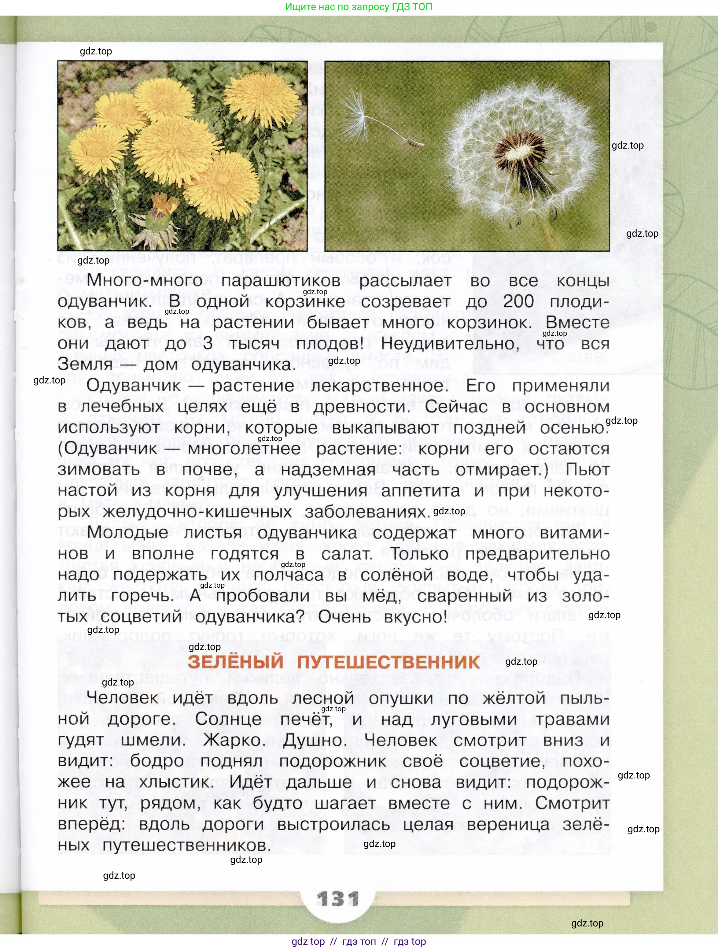 Окружающий мир, 3 класс Учебник, автор: Плешаков Андрей Анатольевич, издательство Просвещение, Москва, 2023, белого цвета, страница 131
