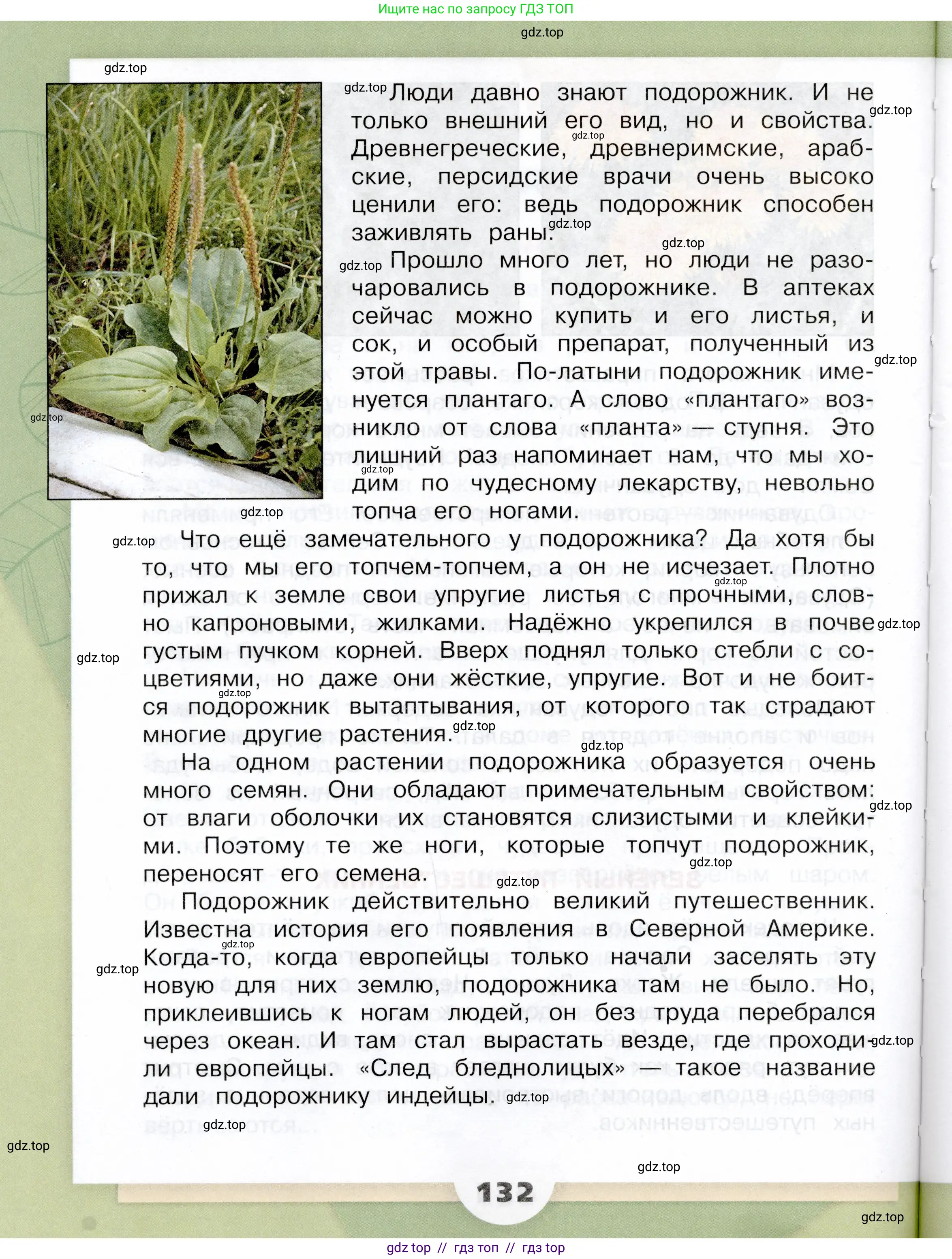 Окружающий мир, 3 класс Учебник, автор: Плешаков Андрей Анатольевич, издательство Просвещение, Москва, 2023, белого цвета, страница 132