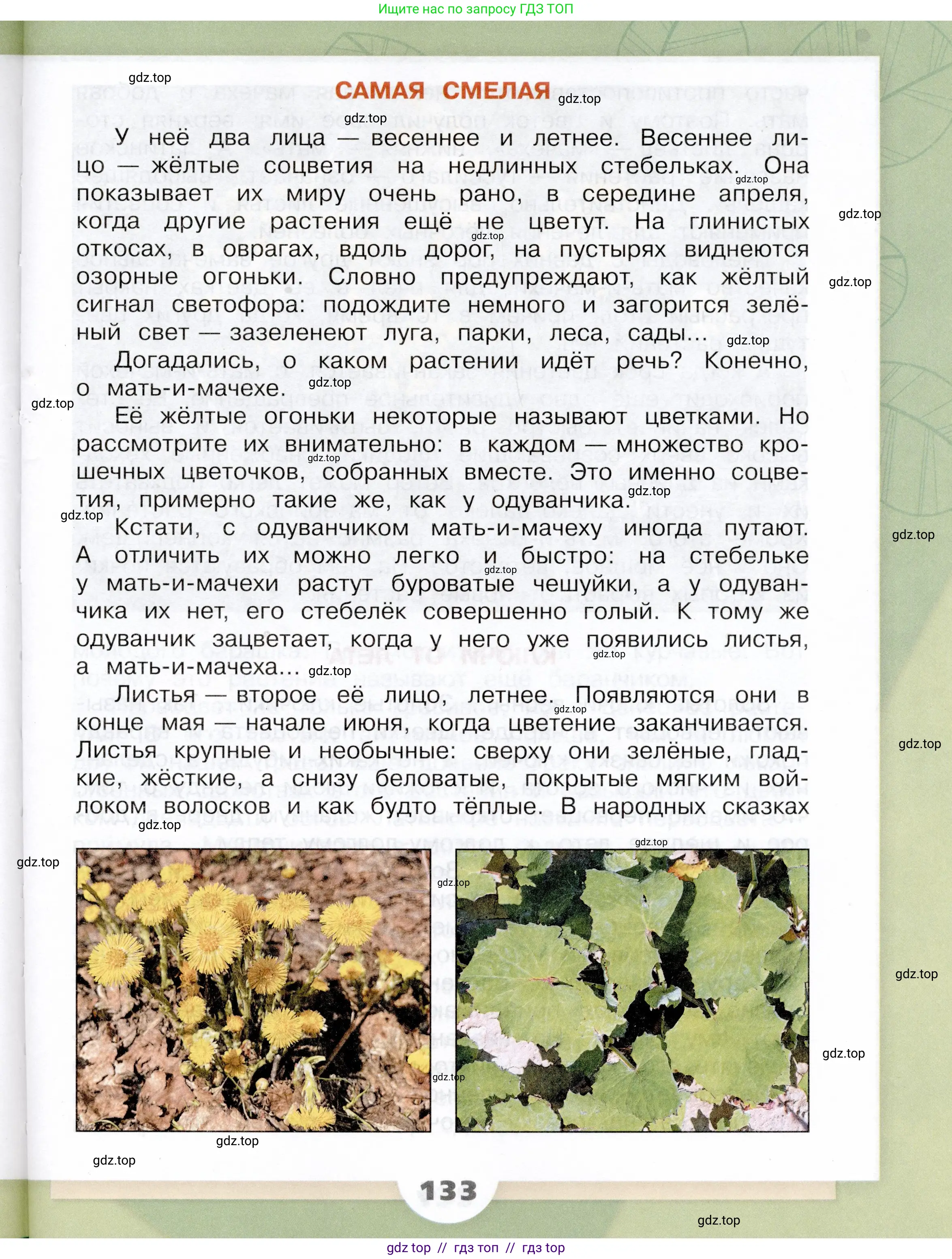 Окружающий мир, 3 класс Учебник, автор: Плешаков Андрей Анатольевич, издательство Просвещение, Москва, 2023, белого цвета, страница 133