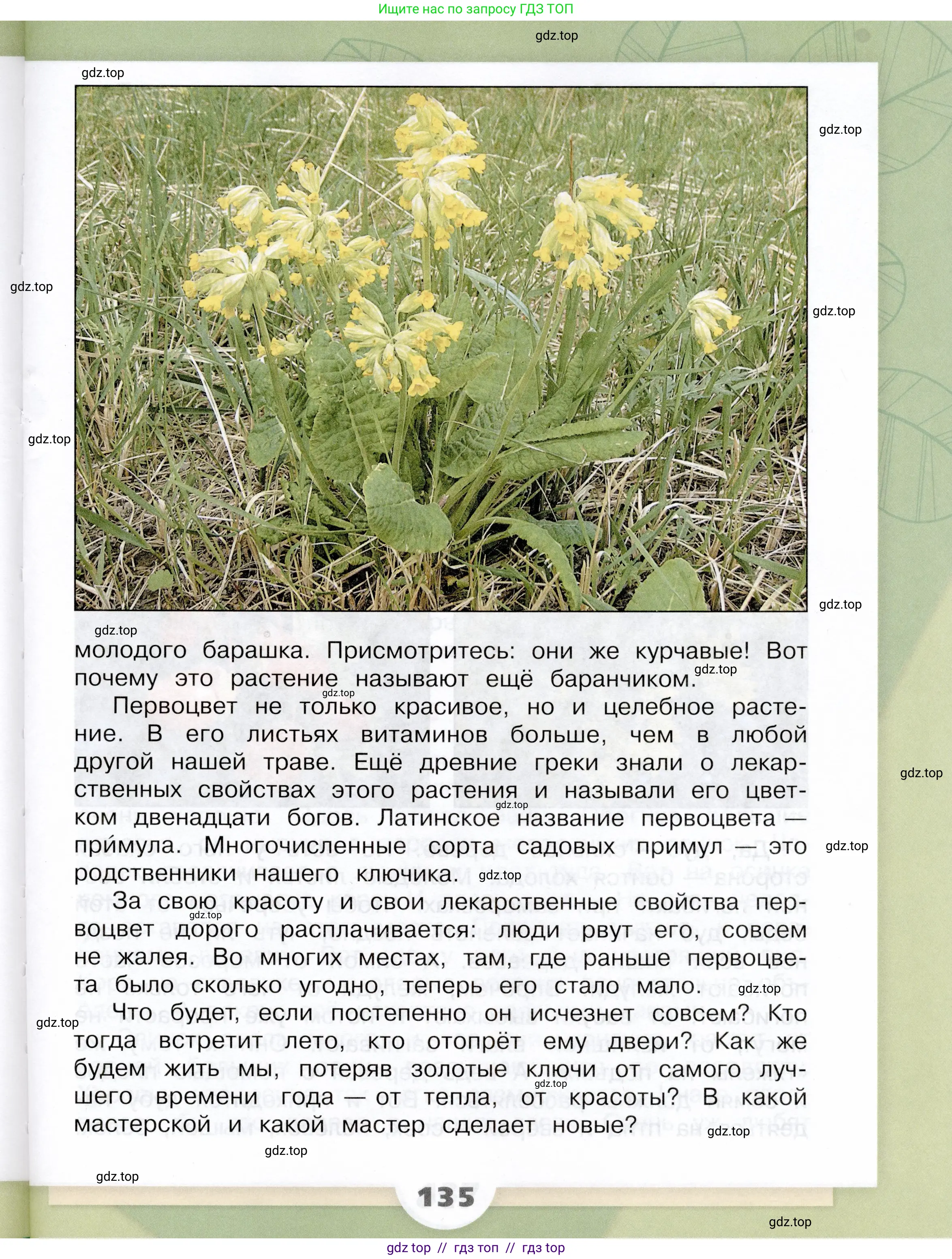 Окружающий мир, 3 класс Учебник, автор: Плешаков Андрей Анатольевич, издательство Просвещение, Москва, 2023, белого цвета, страница 135