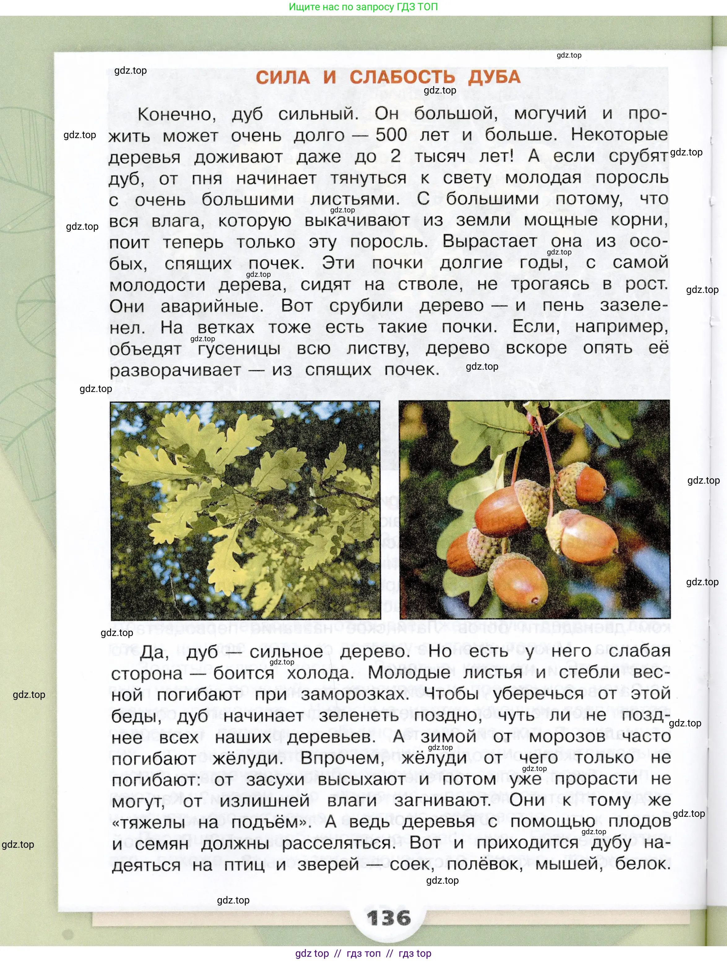 Окружающий мир, 3 класс Учебник, автор: Плешаков Андрей Анатольевич, издательство Просвещение, Москва, 2023, белого цвета, страница 136