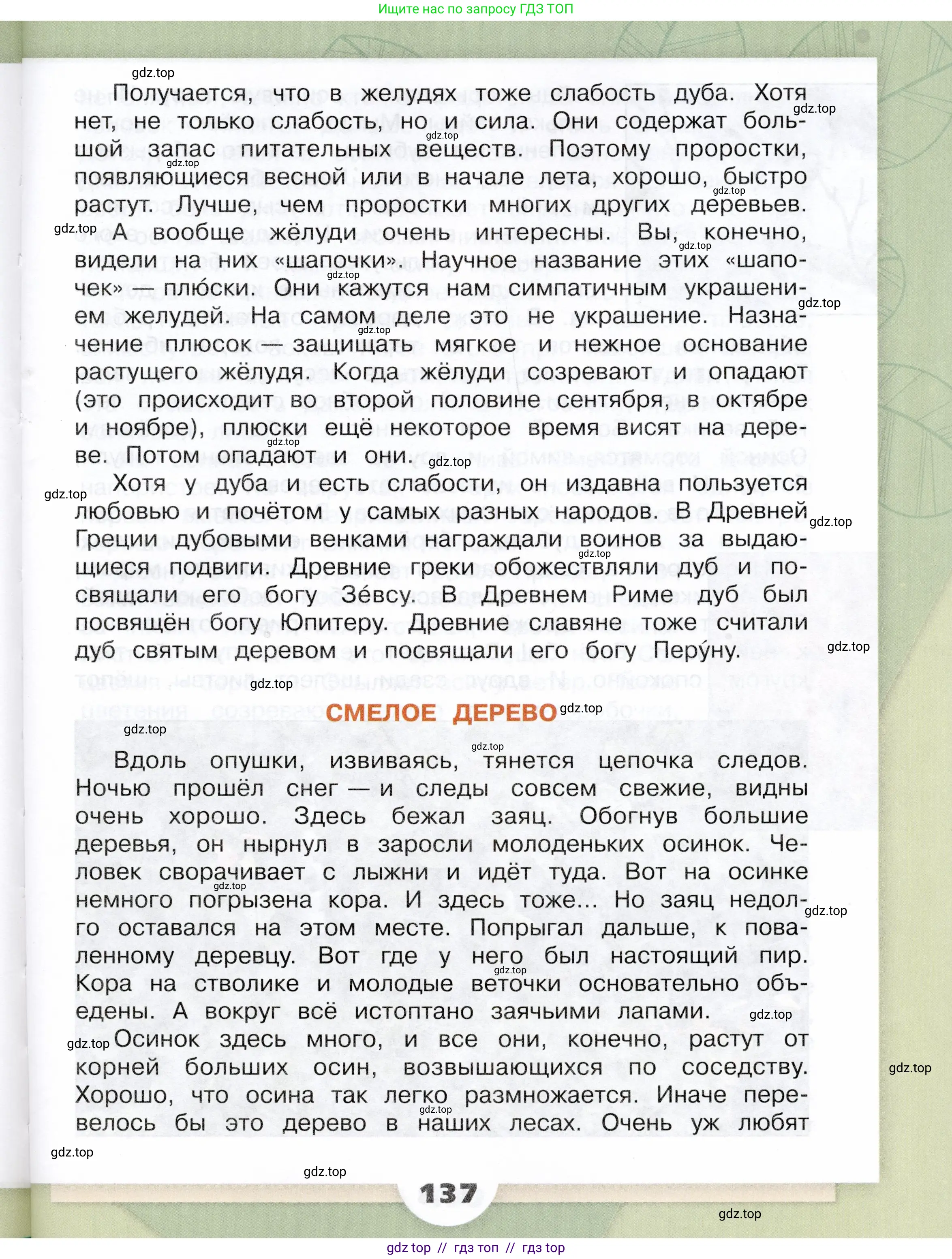 Окружающий мир, 3 класс Учебник, автор: Плешаков Андрей Анатольевич, издательство Просвещение, Москва, 2023, белого цвета, страница 137