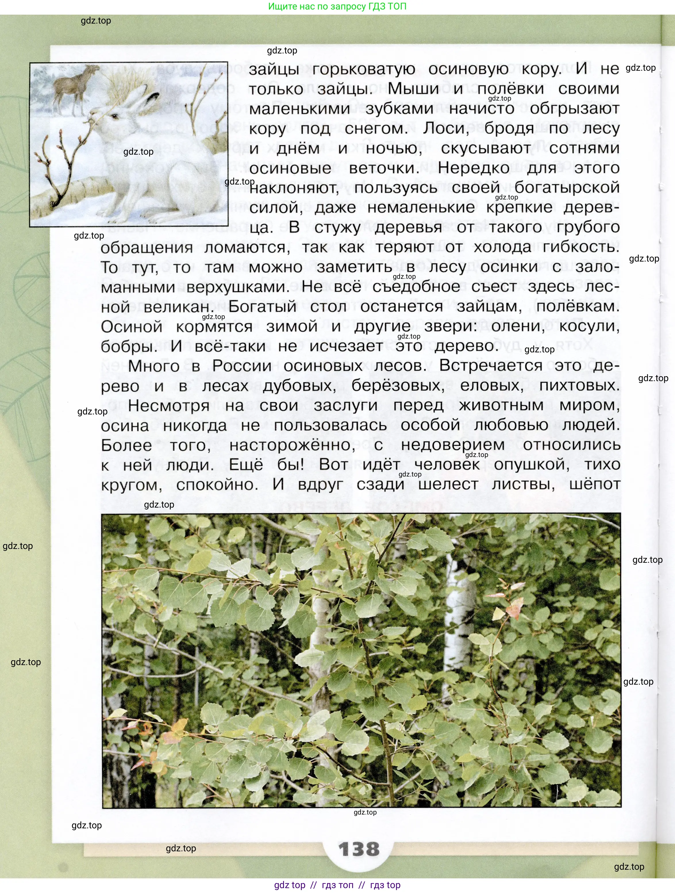 Окружающий мир, 3 класс Учебник, автор: Плешаков Андрей Анатольевич, издательство Просвещение, Москва, 2023, белого цвета, страница 138