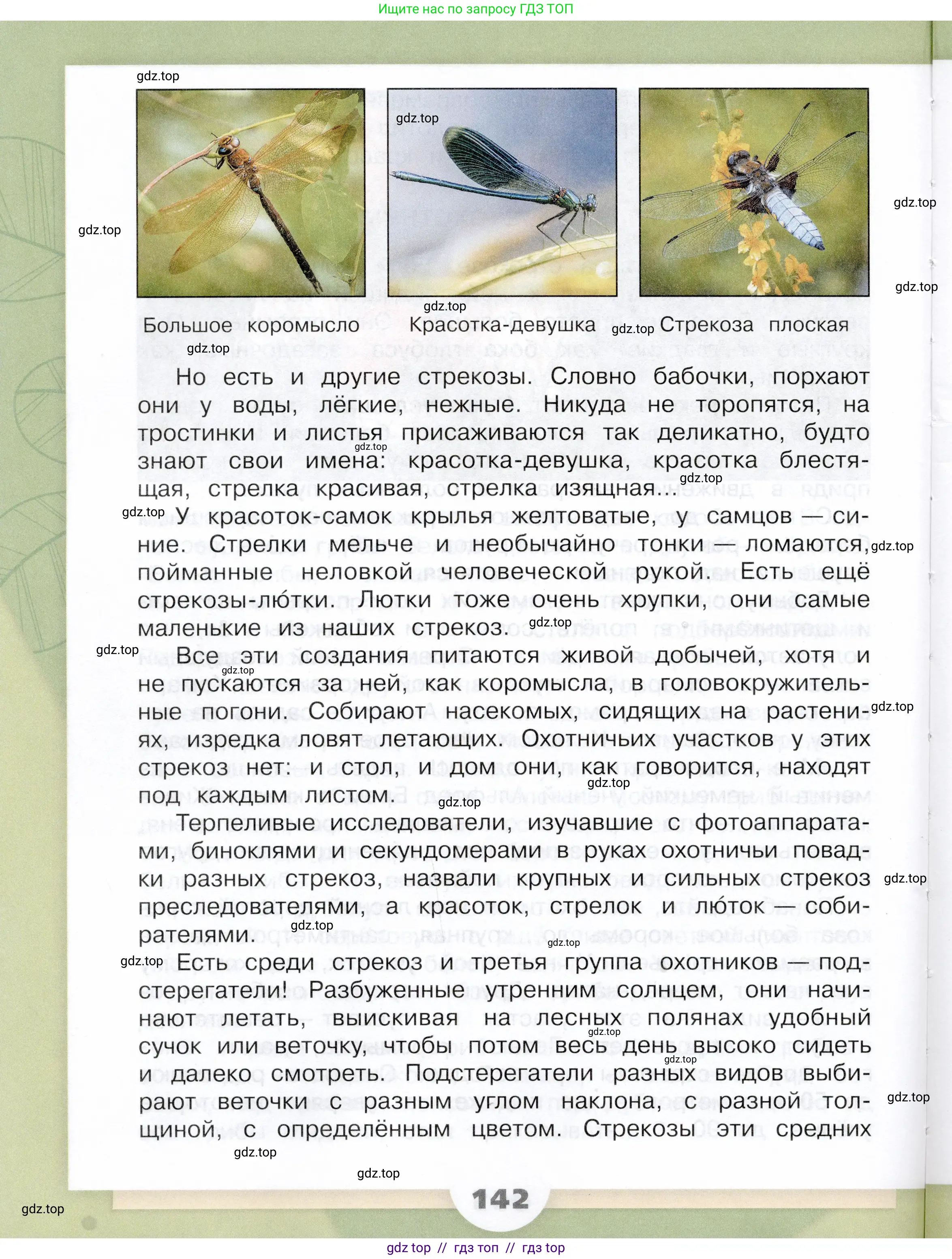 Окружающий мир, 3 класс Учебник, автор: Плешаков Андрей Анатольевич, издательство Просвещение, Москва, 2023, белого цвета, страница 142