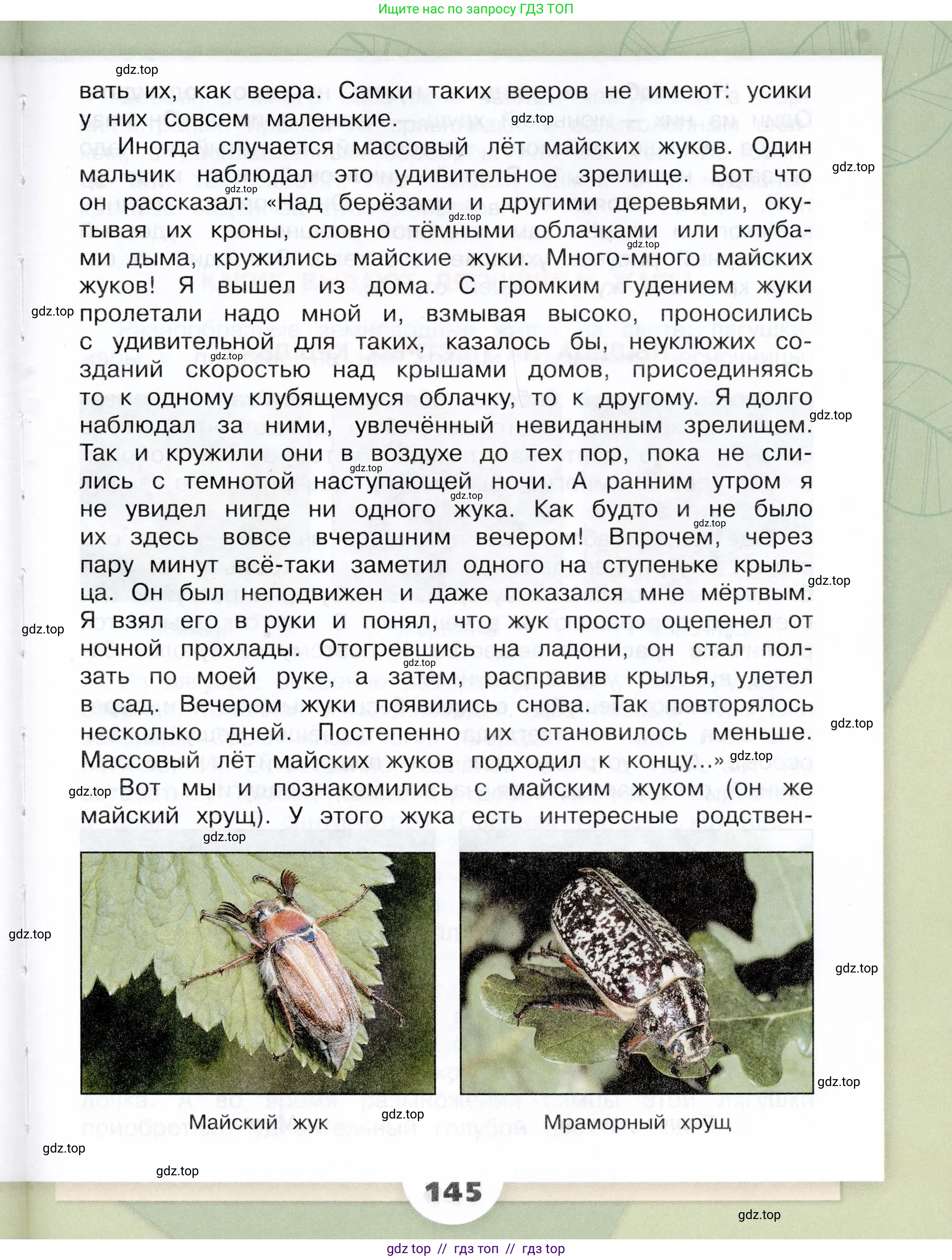 Окружающий мир, 3 класс Учебник, автор: Плешаков Андрей Анатольевич, издательство Просвещение, Москва, 2023, белого цвета, страница 145