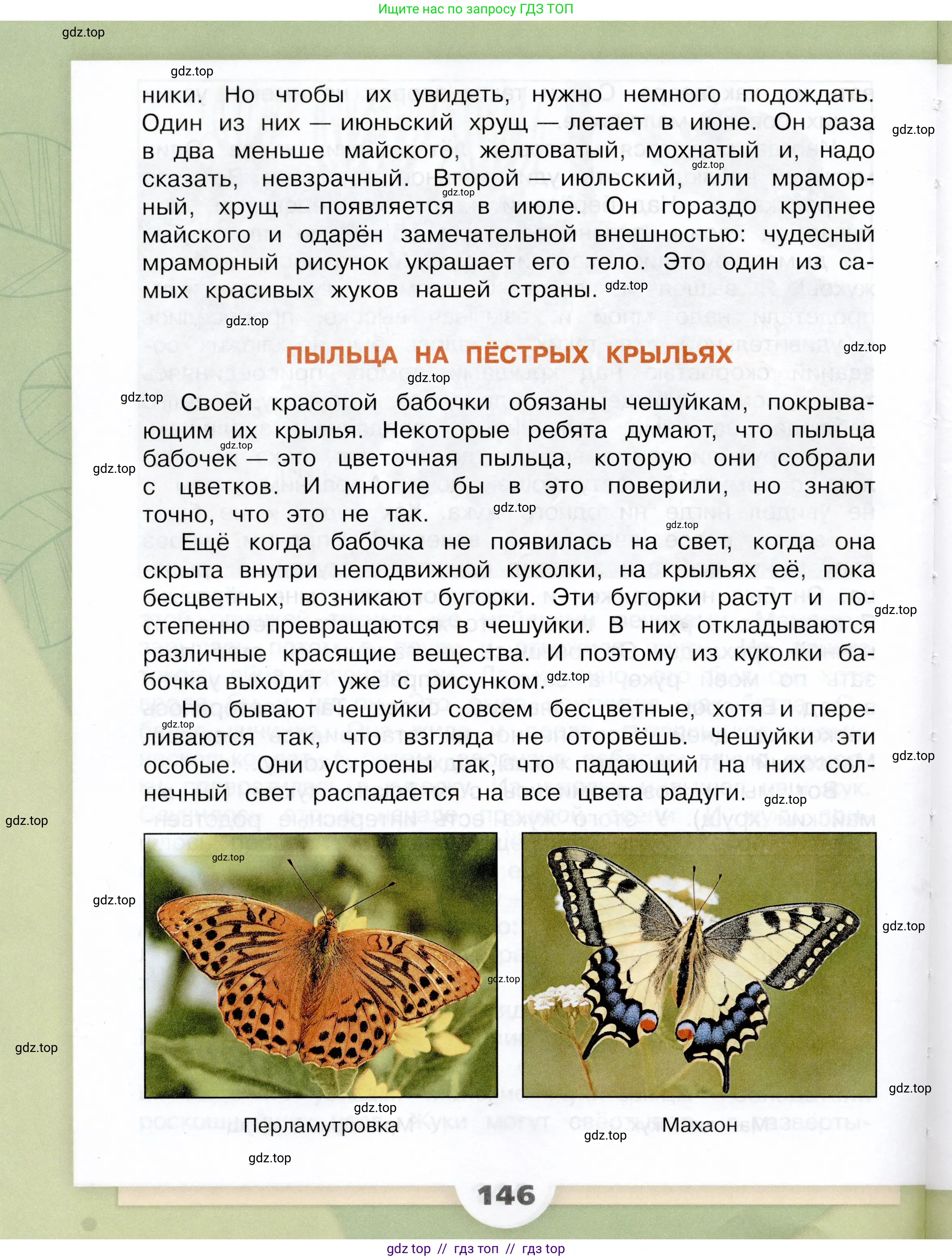 Окружающий мир, 3 класс Учебник, автор: Плешаков Андрей Анатольевич, издательство Просвещение, Москва, 2023, белого цвета, страница 146