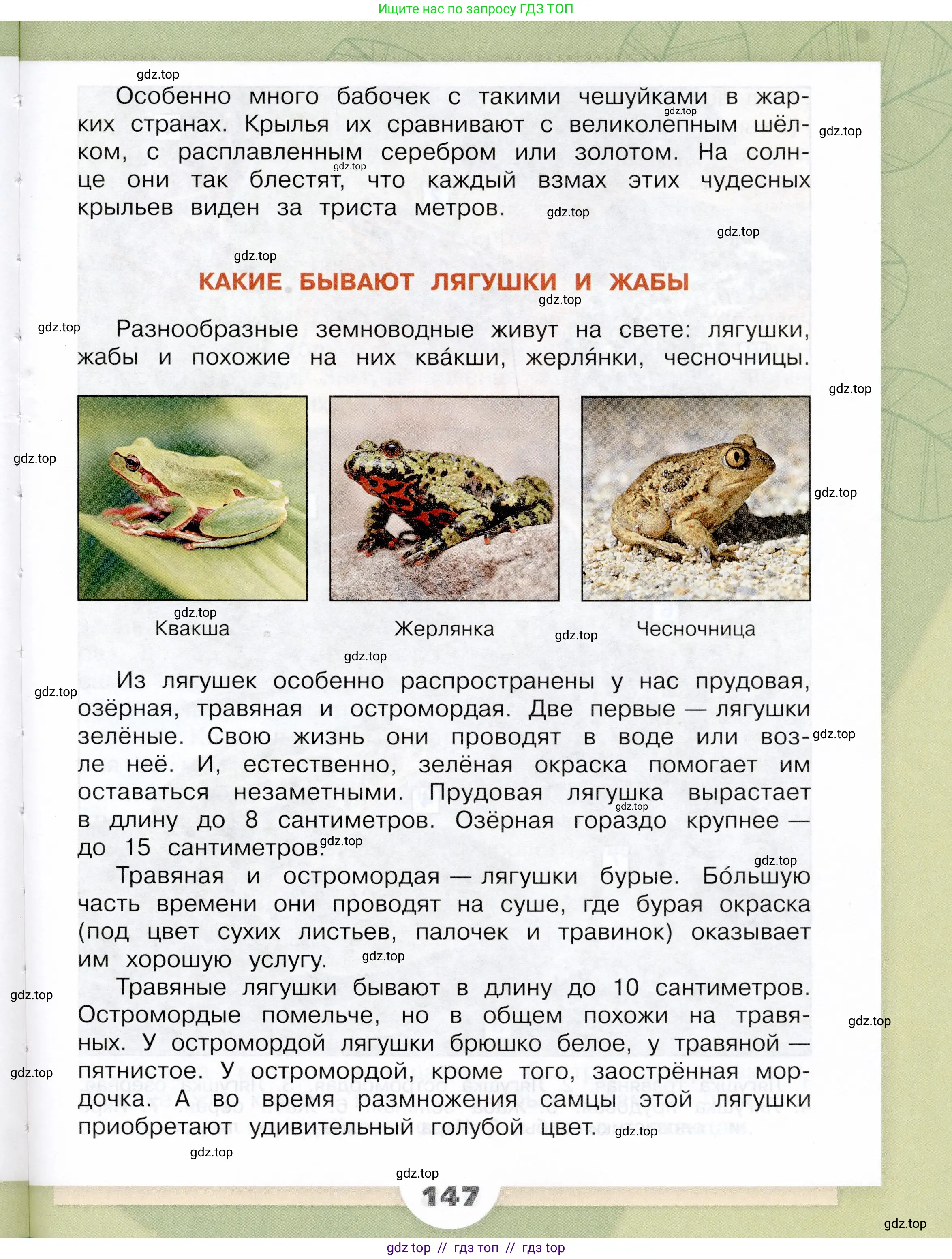Окружающий мир, 3 класс Учебник, автор: Плешаков Андрей Анатольевич, издательство Просвещение, Москва, 2023, белого цвета, страница 147
