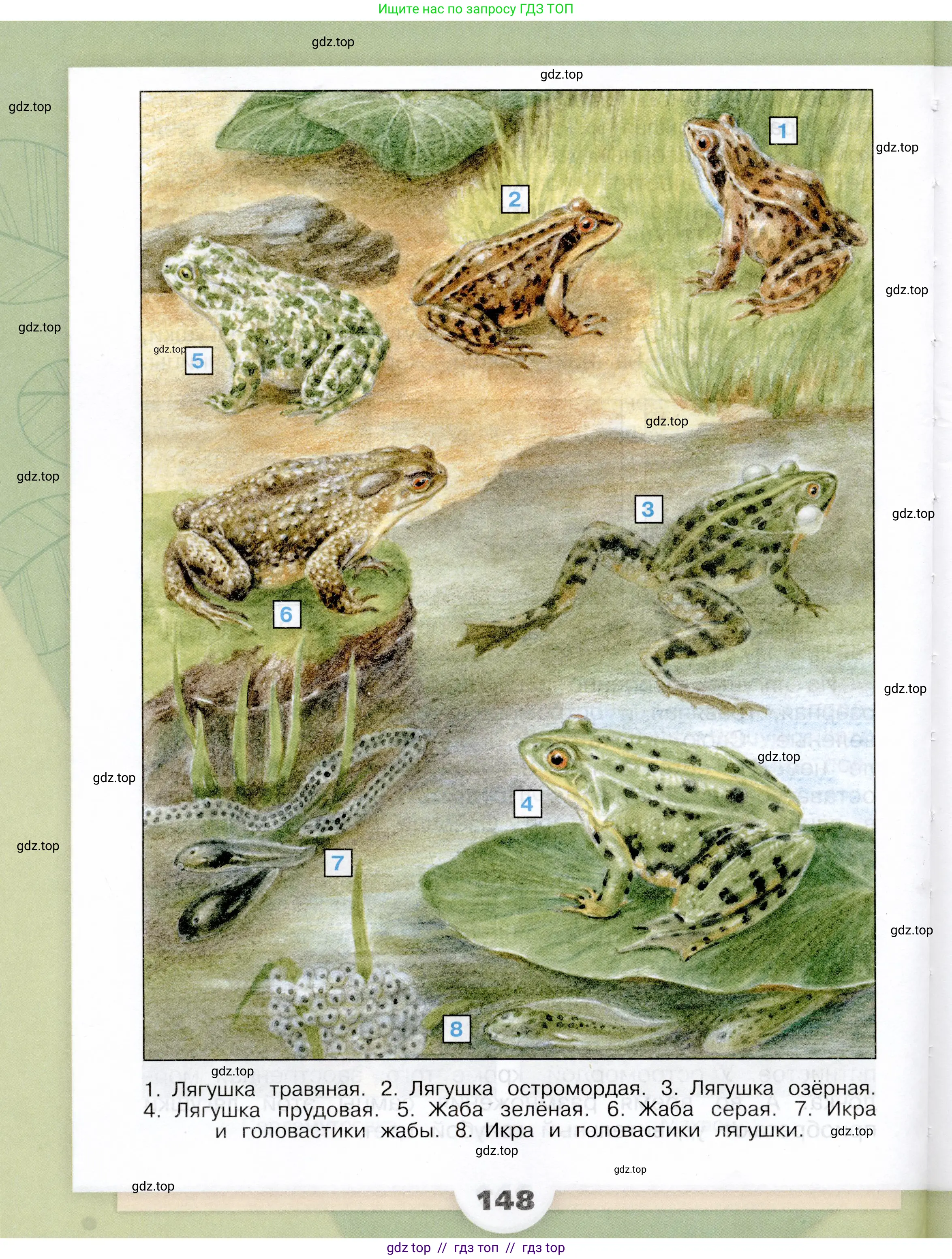 Окружающий мир, 3 класс Учебник, автор: Плешаков Андрей Анатольевич, издательство Просвещение, Москва, 2023, белого цвета, страница 148