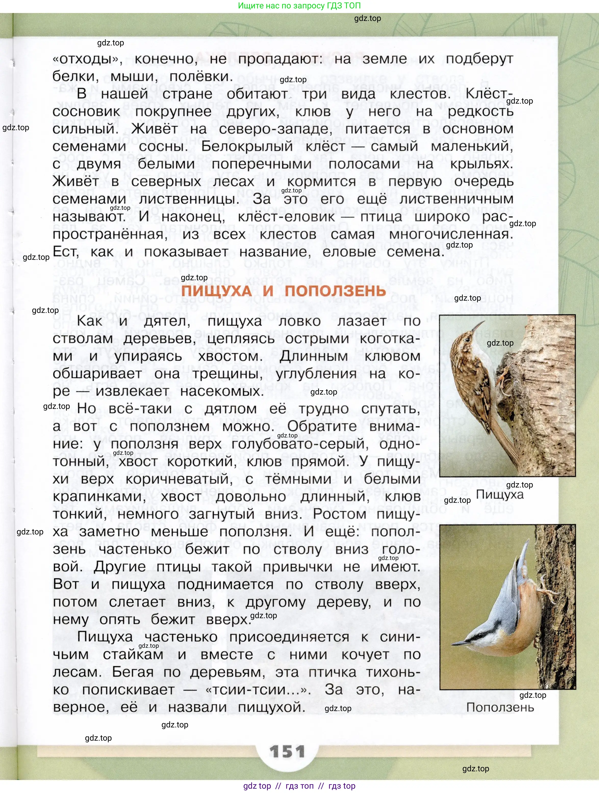 Окружающий мир, 3 класс Учебник, автор: Плешаков Андрей Анатольевич, издательство Просвещение, Москва, 2023, белого цвета, страница 151