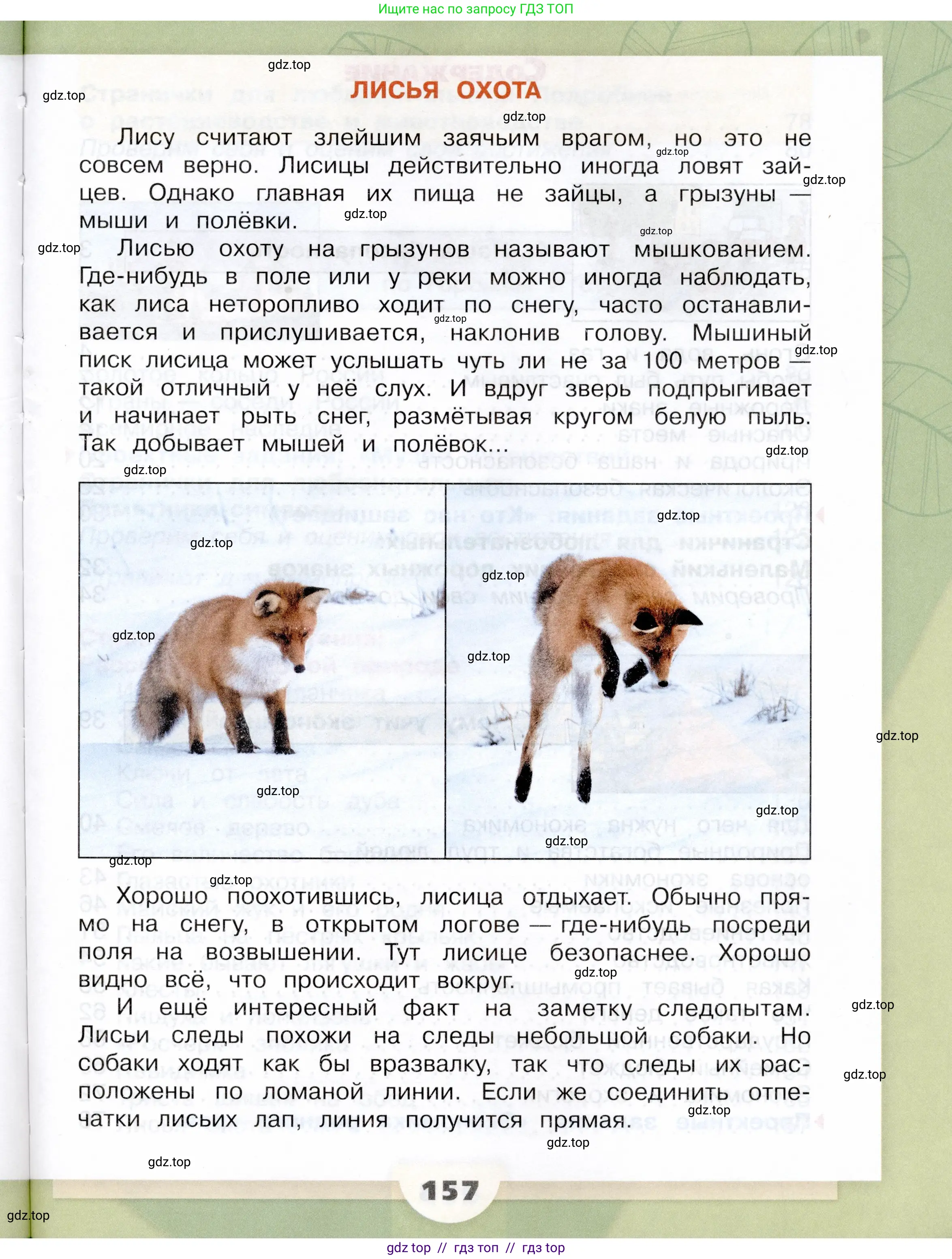 Окружающий мир, 3 класс Учебник, автор: Плешаков Андрей Анатольевич, издательство Просвещение, Москва, 2023, белого цвета, страница 157