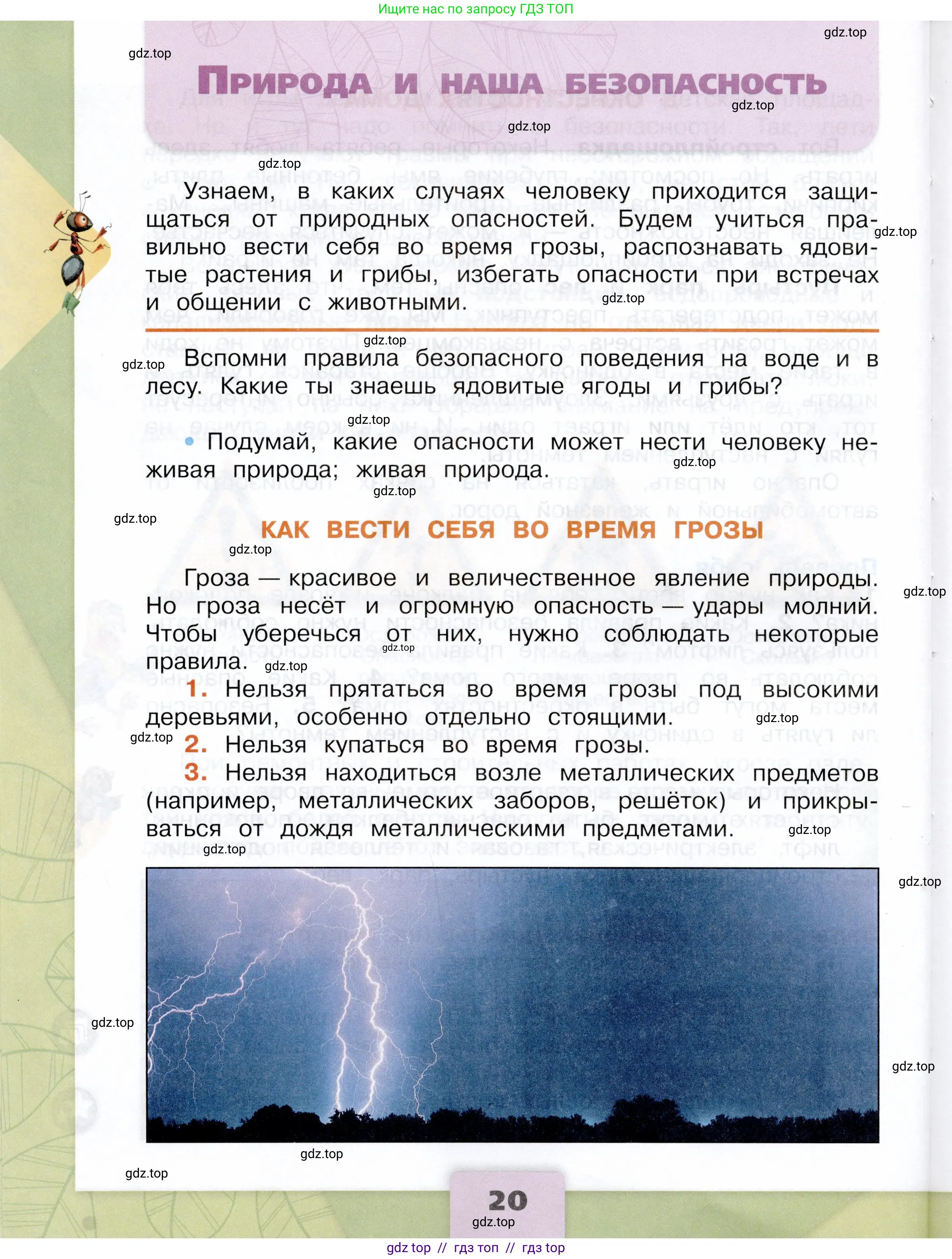 Окружающий мир, 3 класс Учебник, автор: Плешаков Андрей Анатольевич, издательство Просвещение, Москва, 2023, белого цвета, Часть 2, страница 20